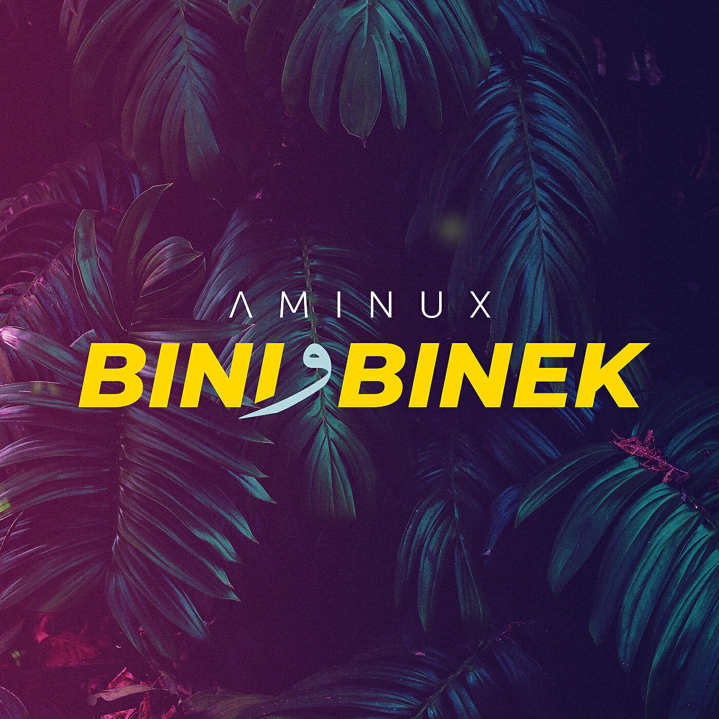 Aminux - Bini W Binek