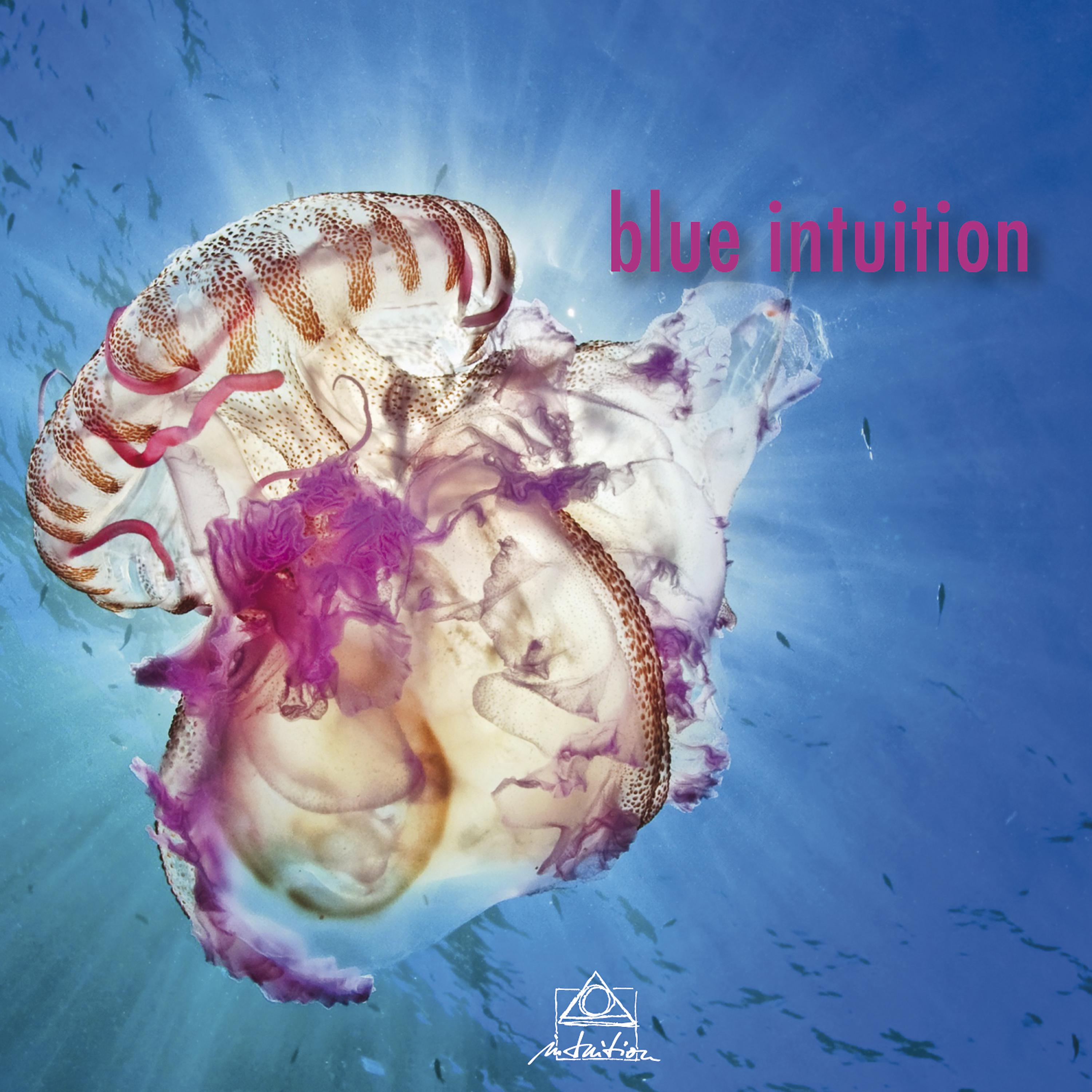 Постер альбома Blue Intuition