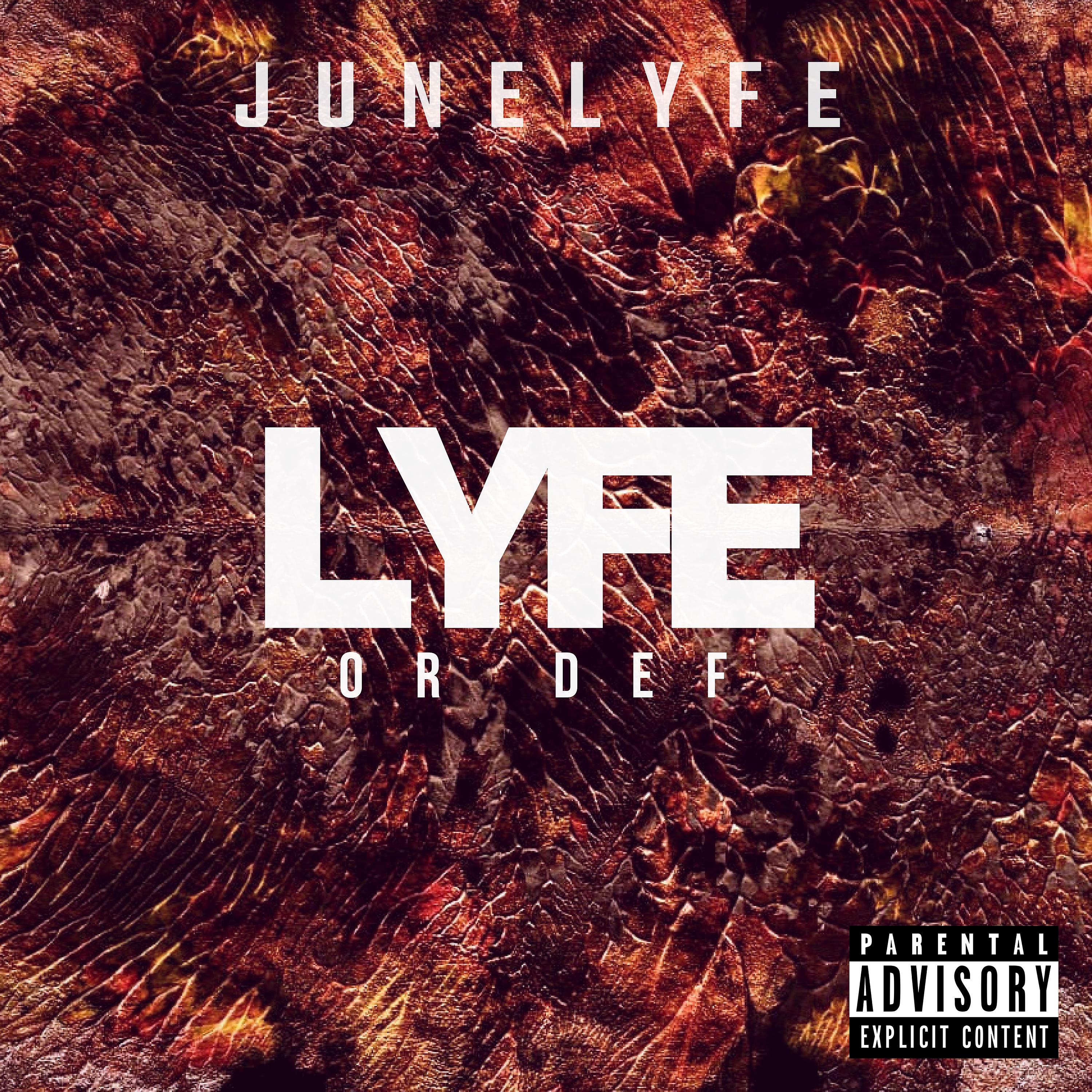 Постер альбома Lyfe or Def