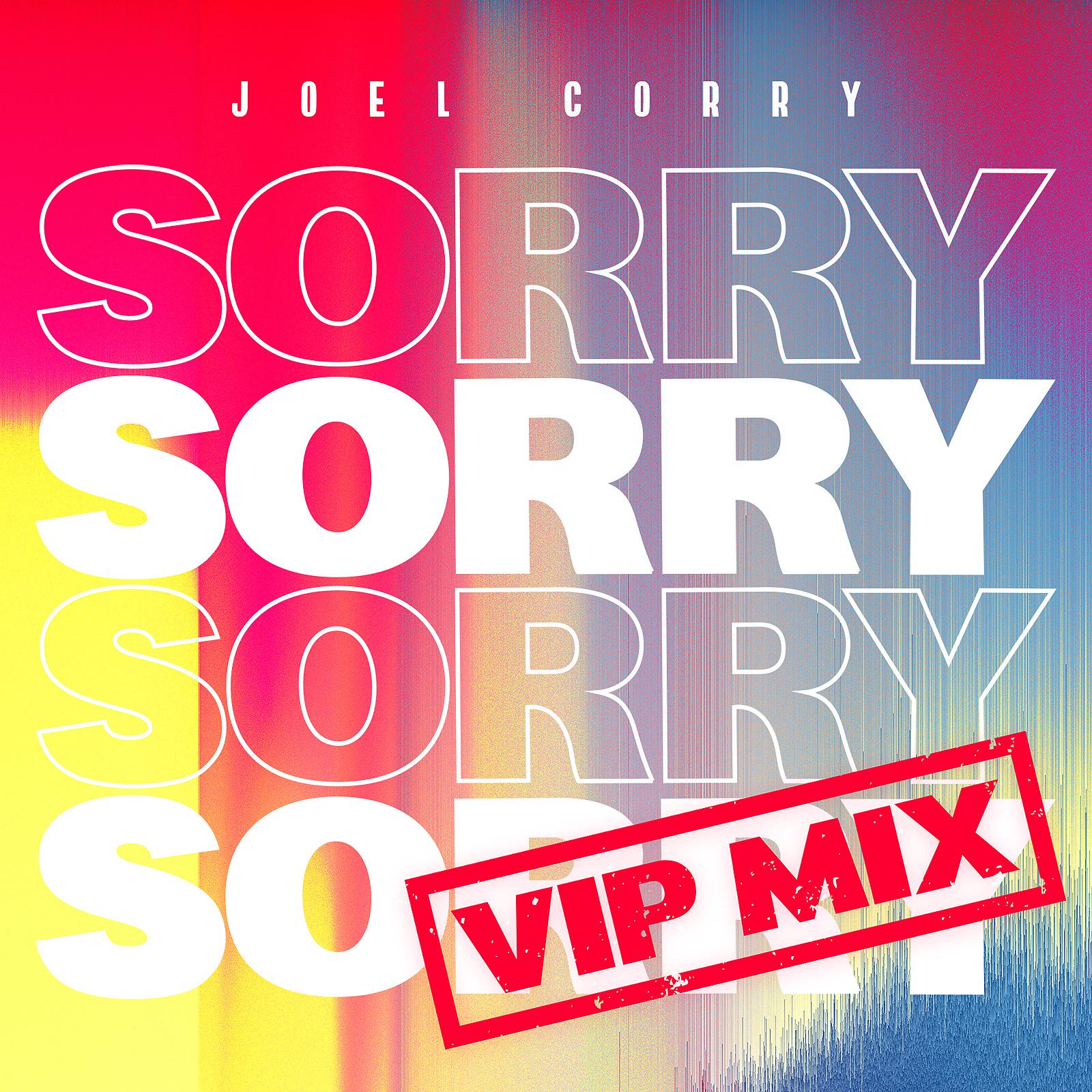 Постер альбома Sorry (VIP Mix)