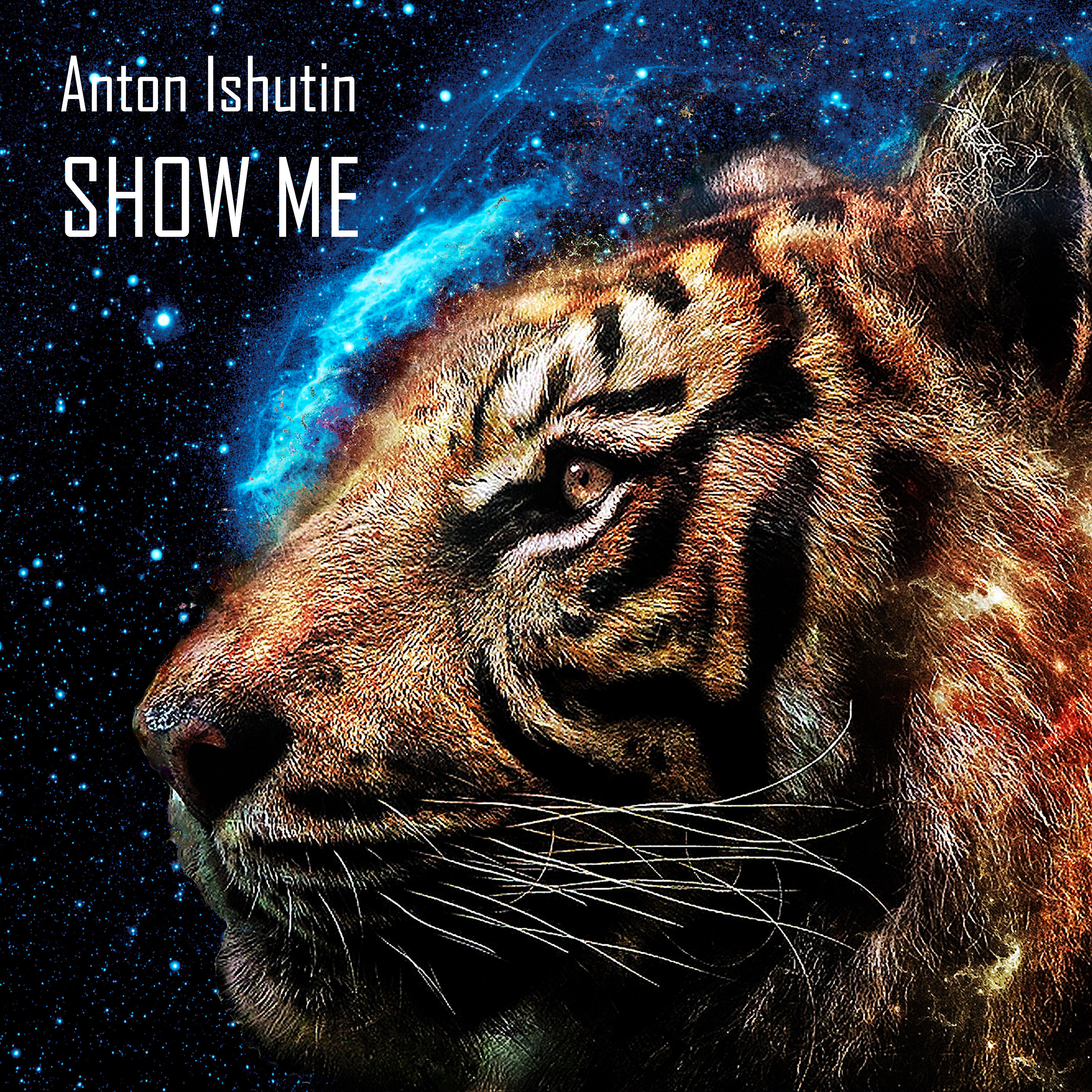 Anton Ishutin - Show Me (Toly Braun Remix)