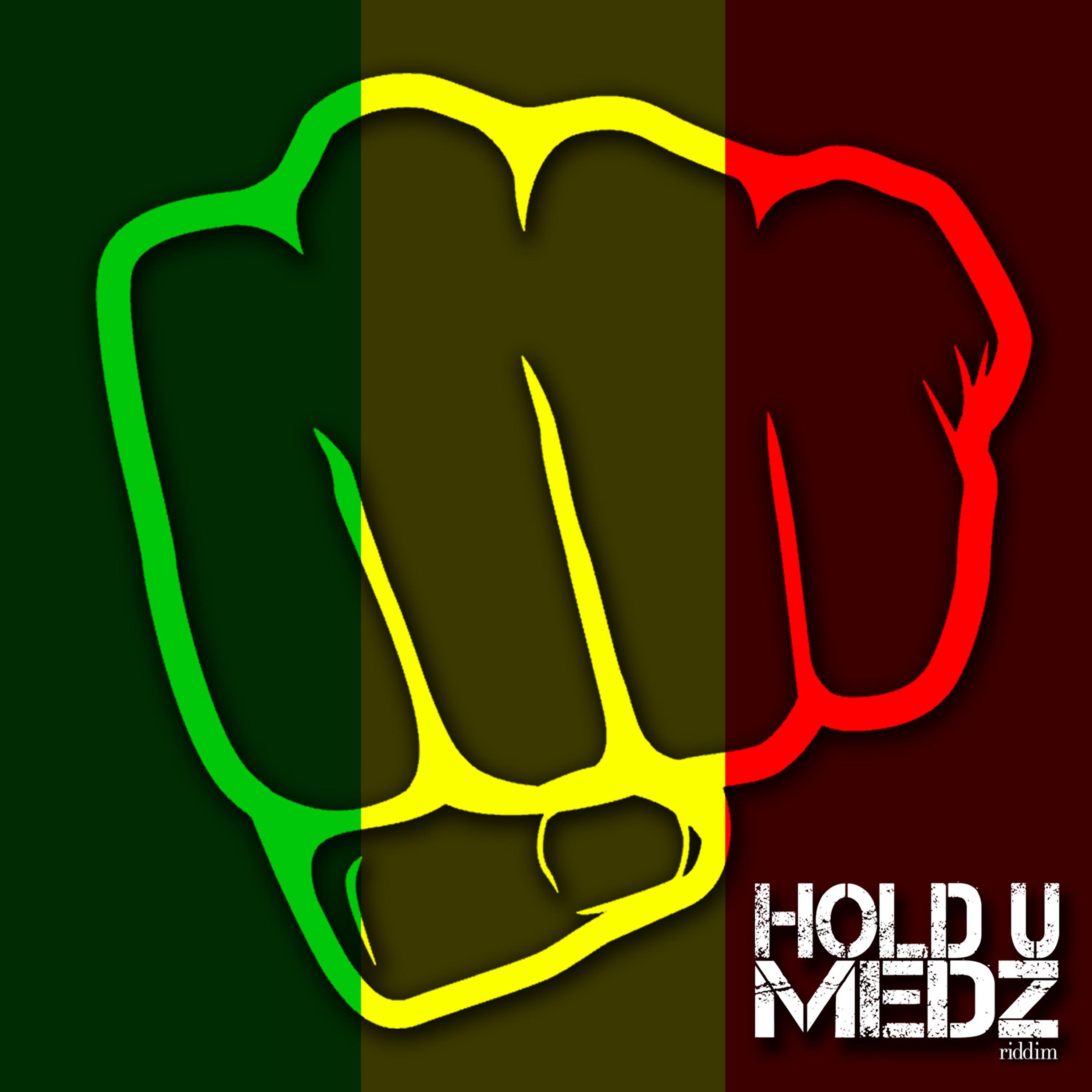Постер альбома Hold U Medz Riddim