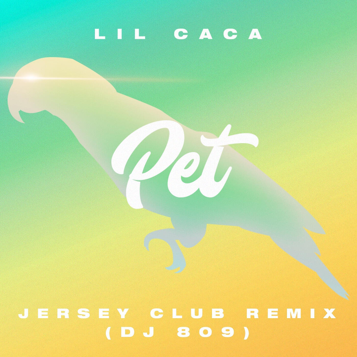 Lil Caca - Pet (Jersey Club Remix)