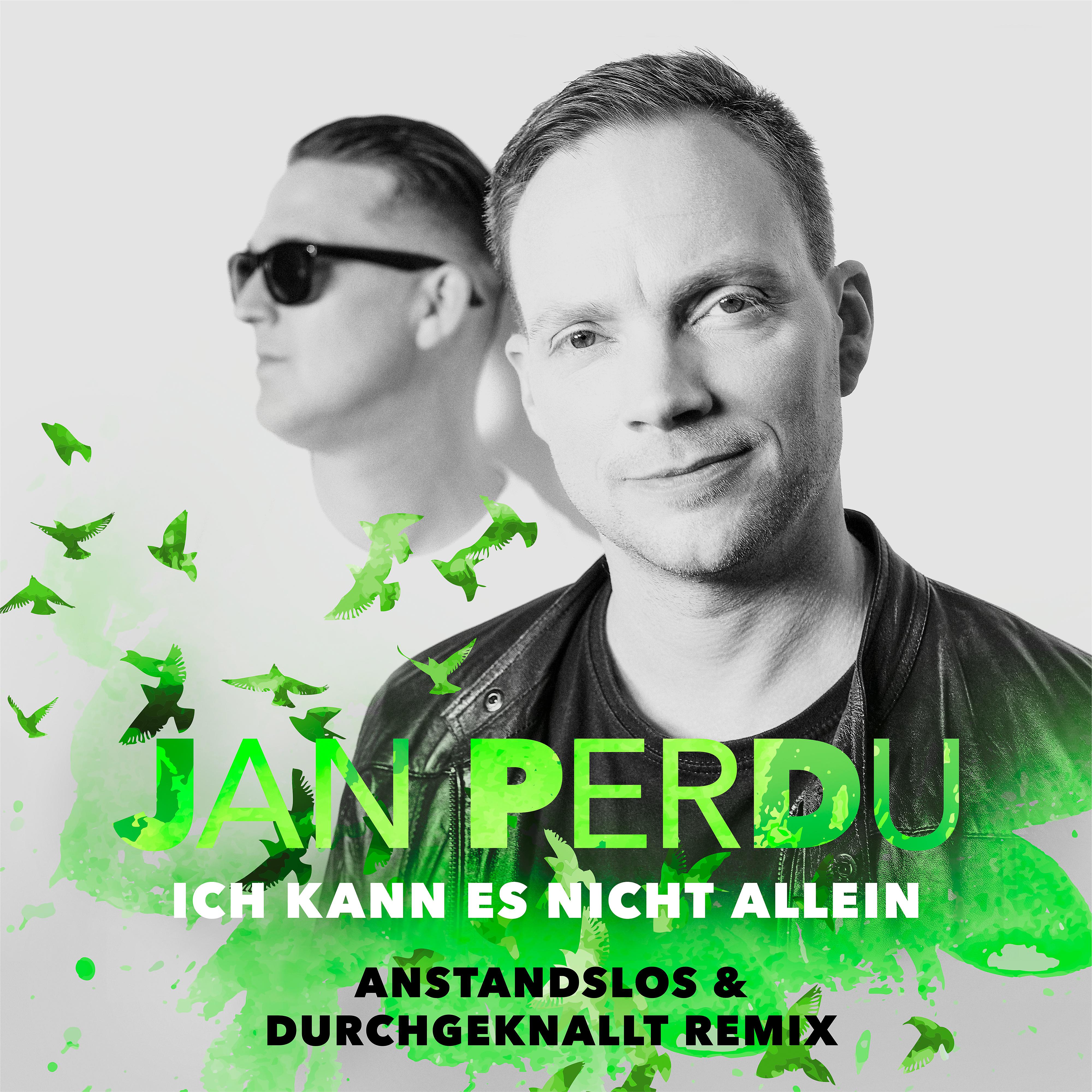 Постер альбома Ich kann es nicht allein (Anstandslos & Durchgeknallt Remix)