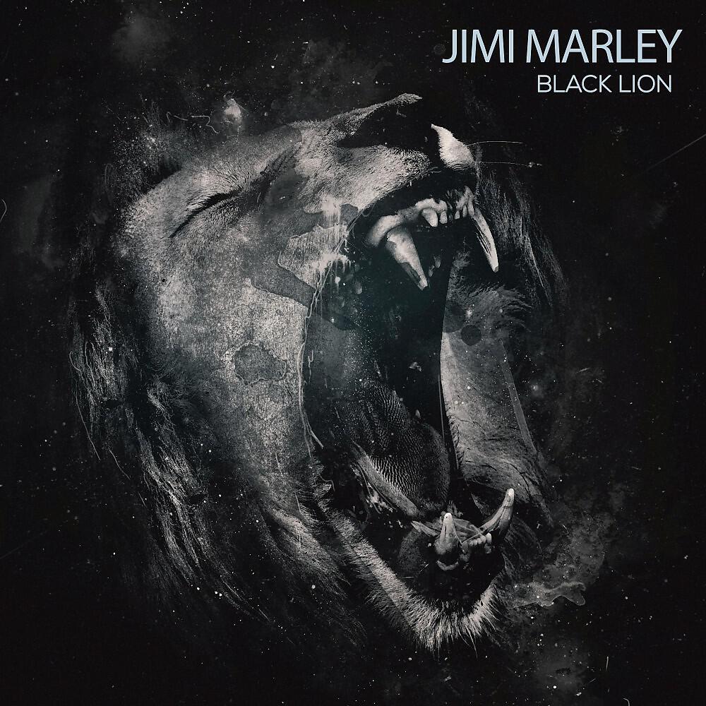Jimi-Marley - Dub Fx (Original Mix)