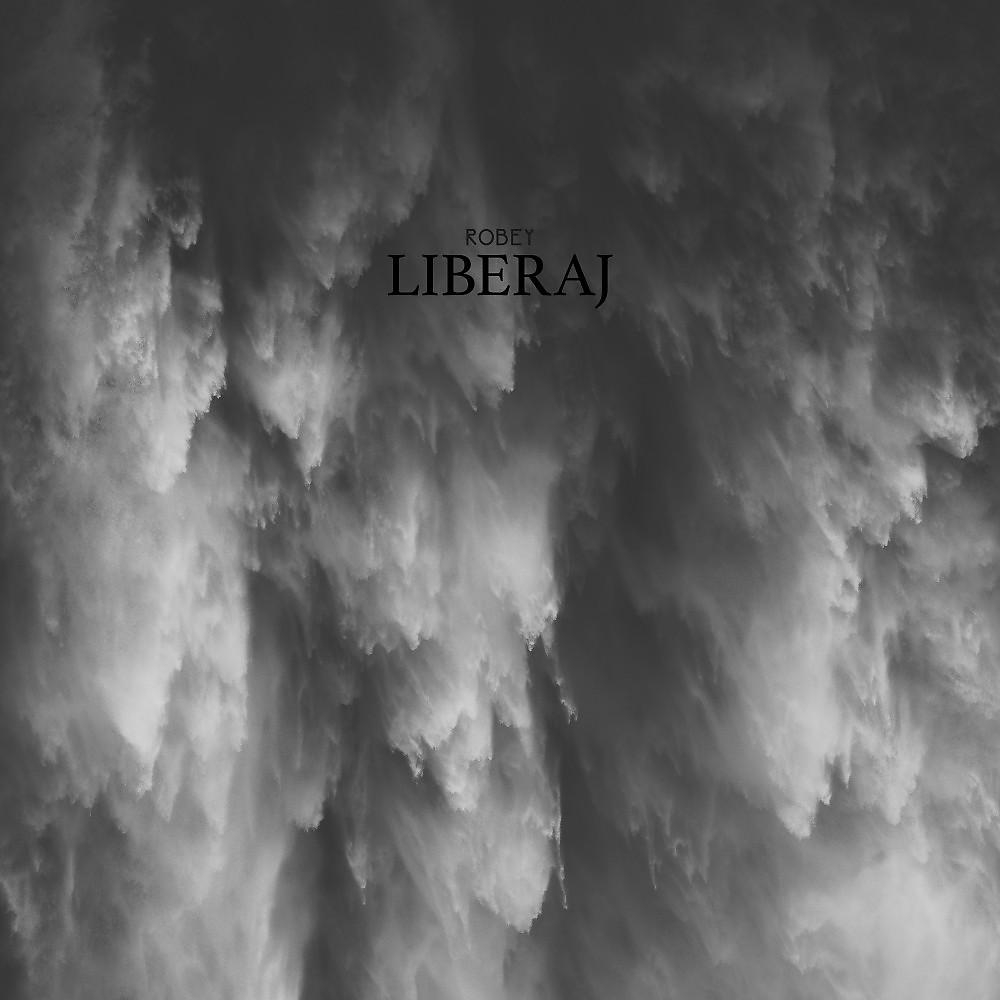 Постер альбома Liberaj