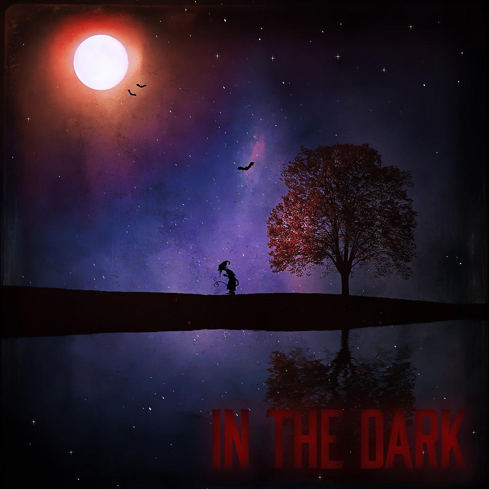 Постер альбома In the Dark (Pt. 1)
