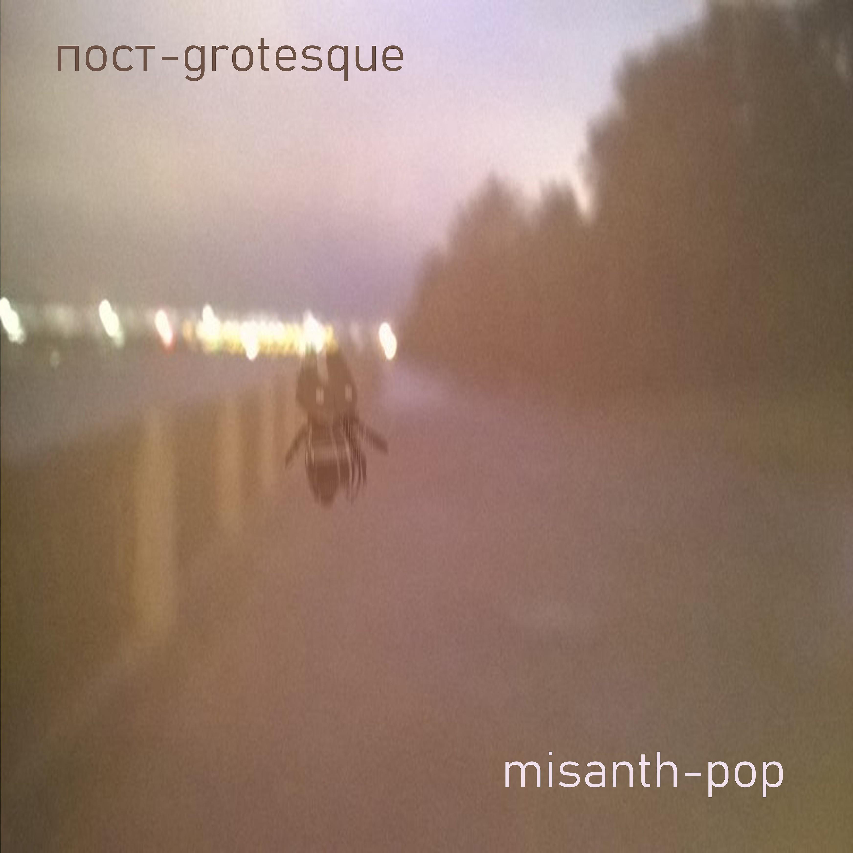 Постер альбома Misanth-pop