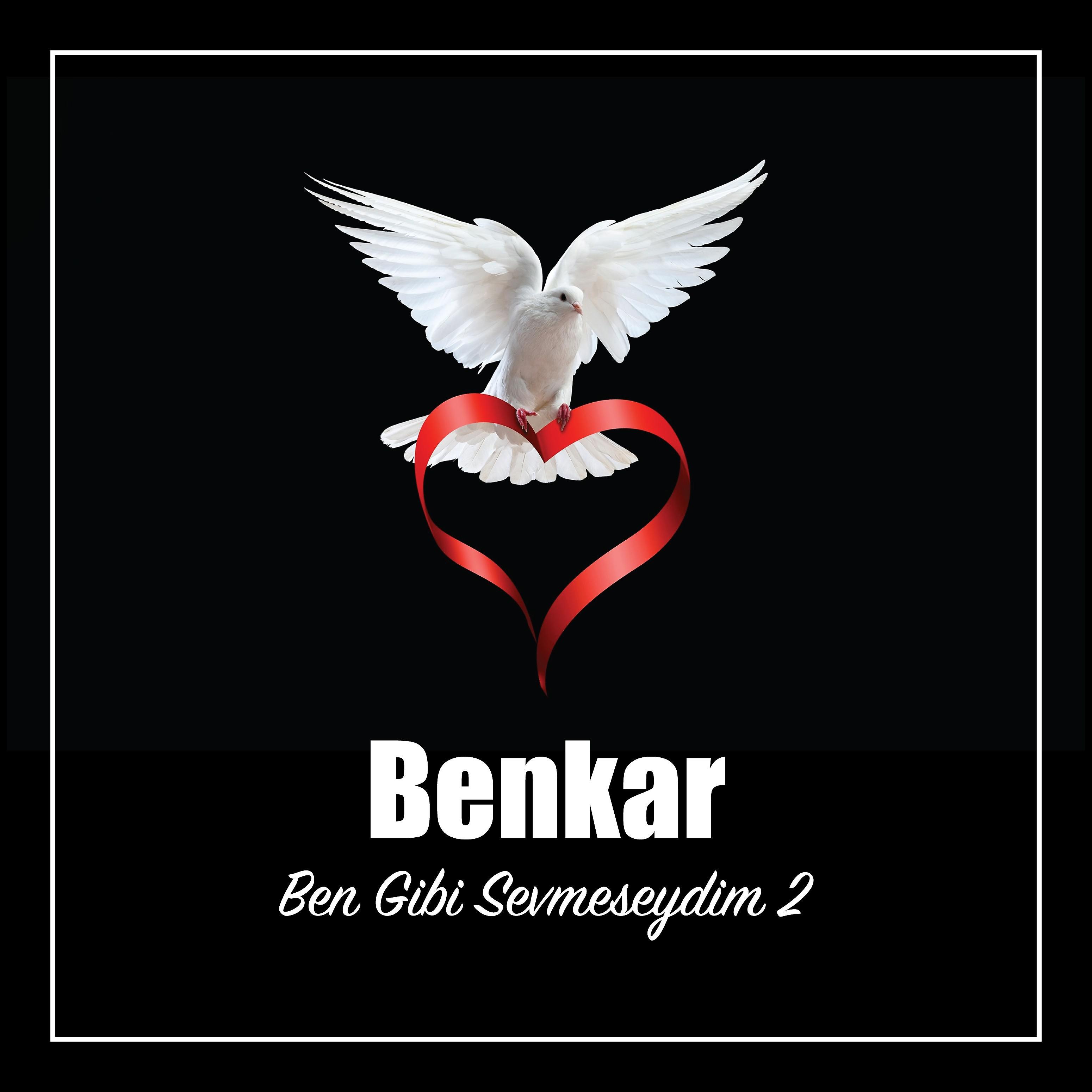 Постер альбома Ben Gibi Sevmeseydim 2