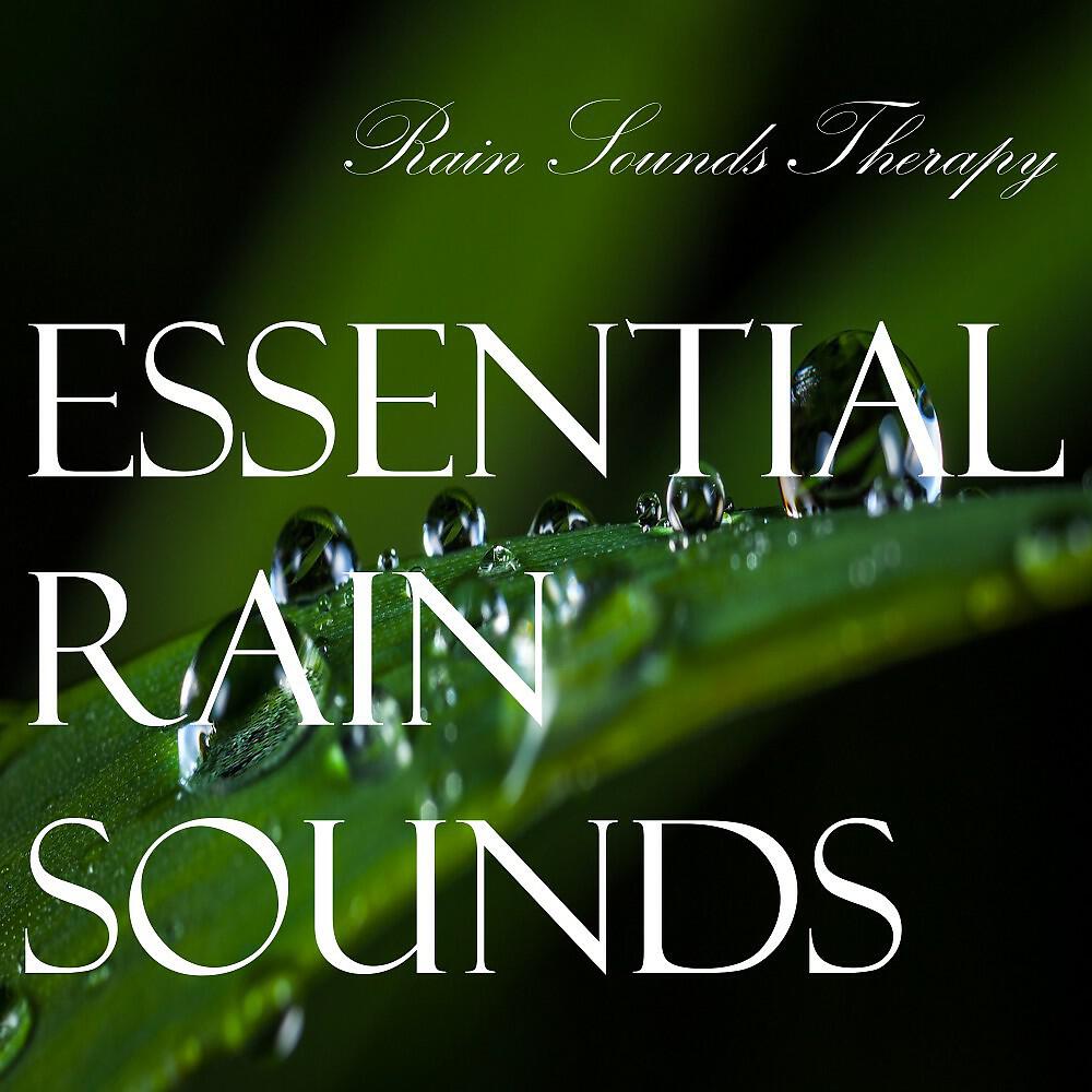 Rain Sounds Therapy - Jungle Rain