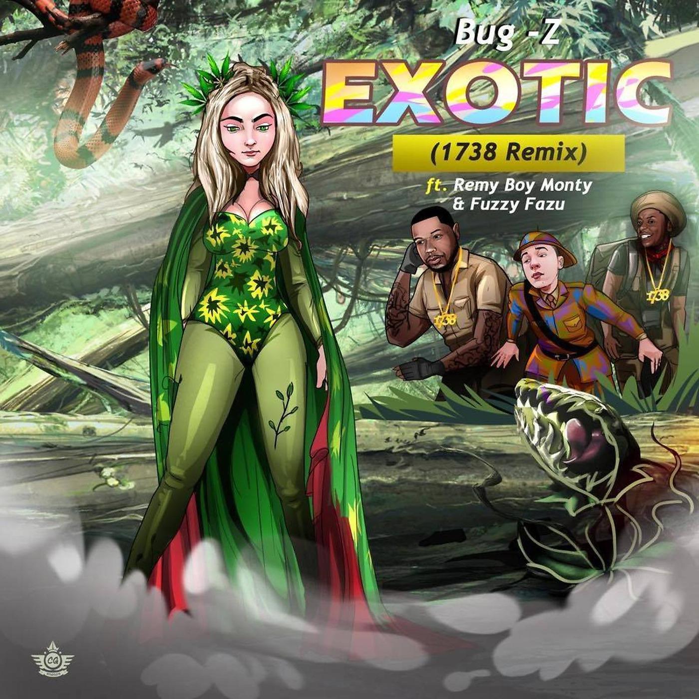 Постер альбома Exotic (1738 Remix)