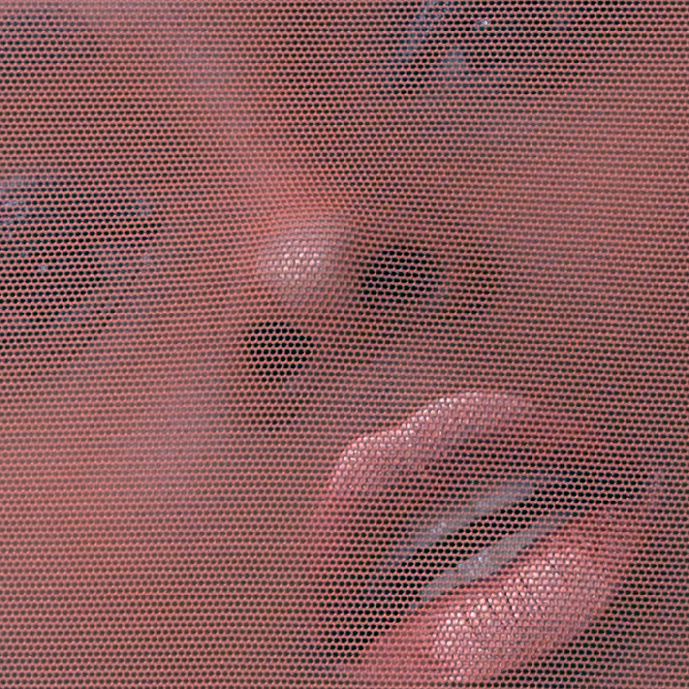 Swim Team - Grace