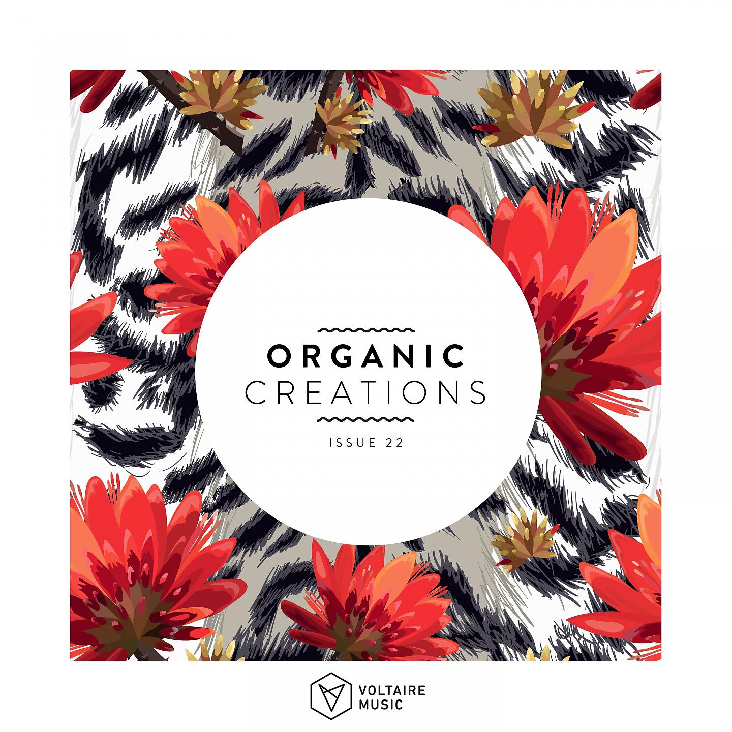 Постер альбома Organic Creations Issue 22