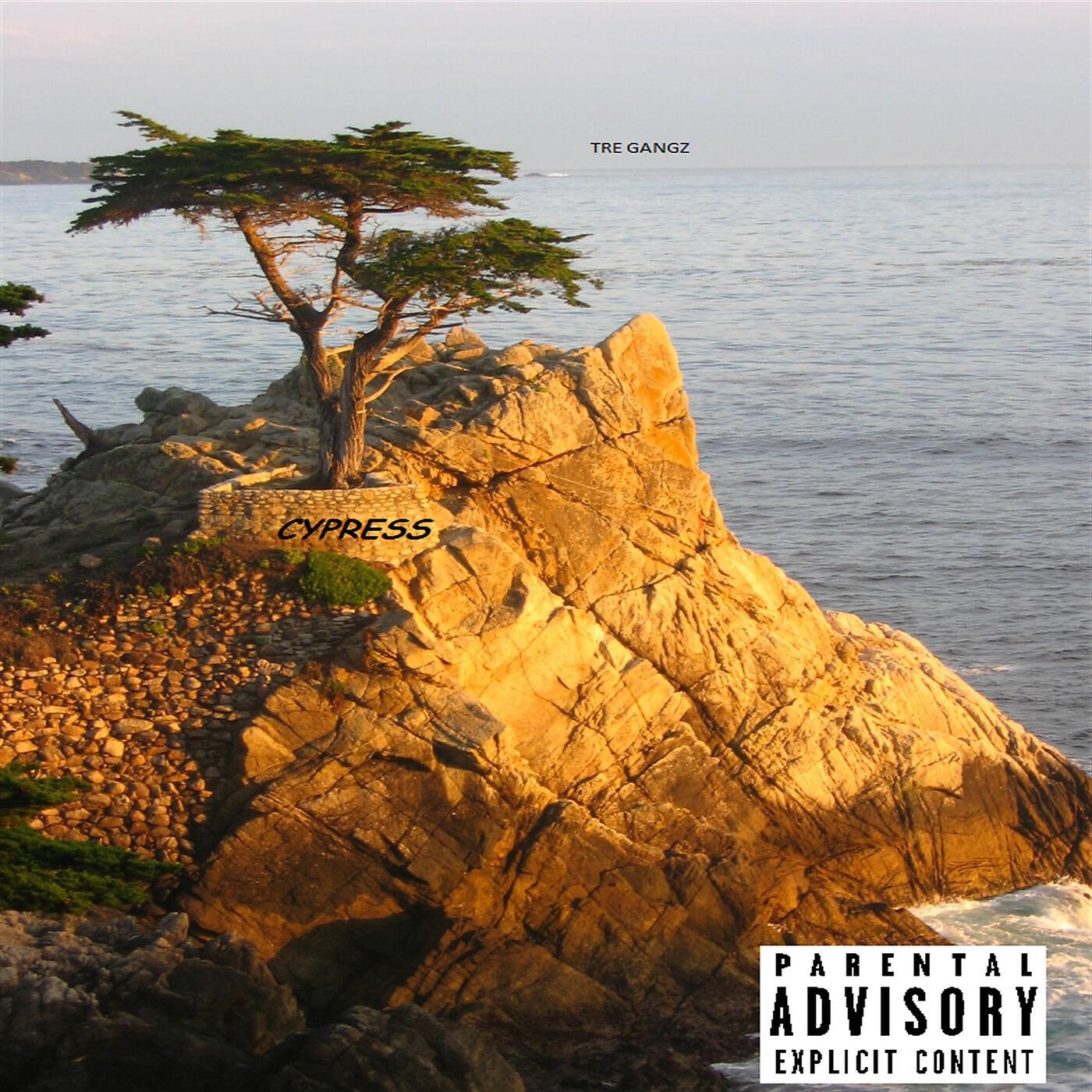 Tre Gangz - The Way