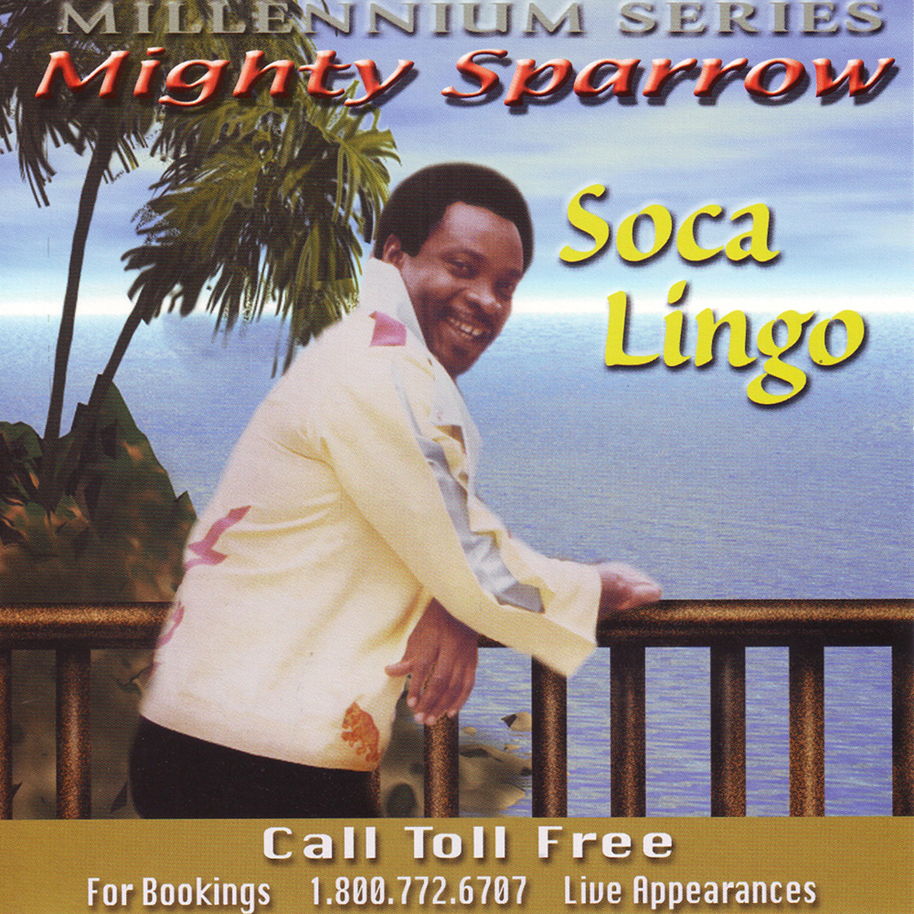 Постер альбома Soca Lingo