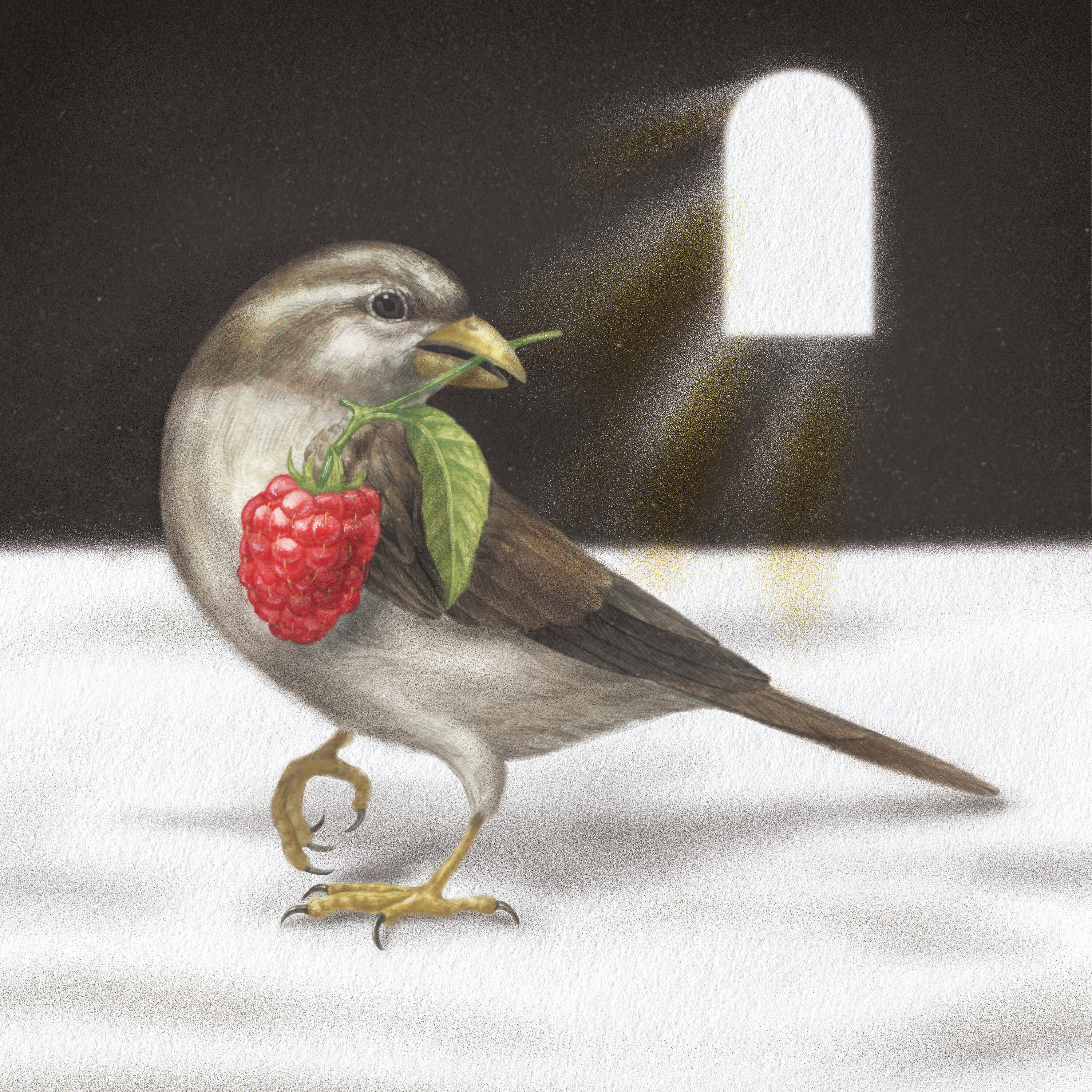 Sparrows - (I Found) Fuzzy Plastics