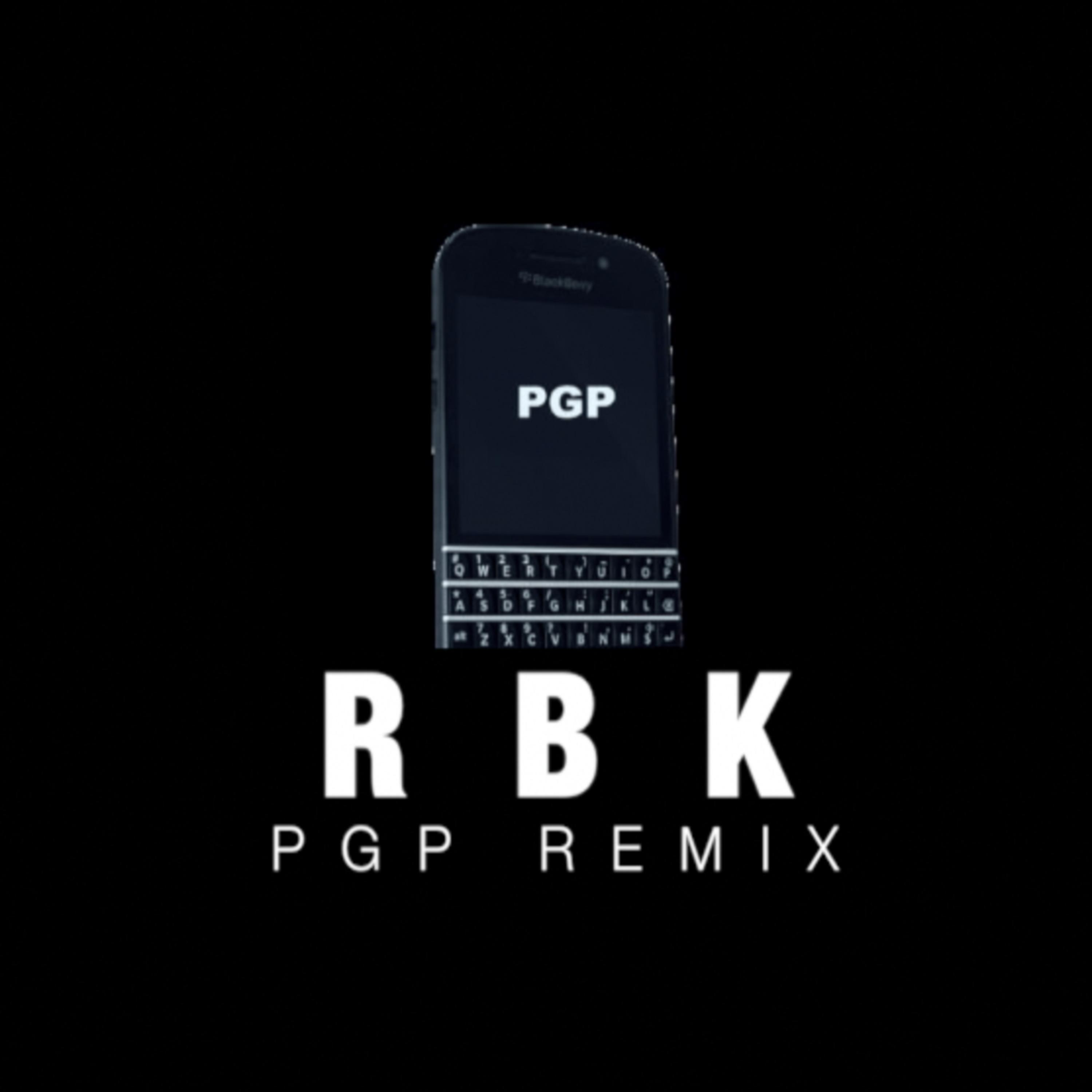 Постер альбома PGP (Remix)