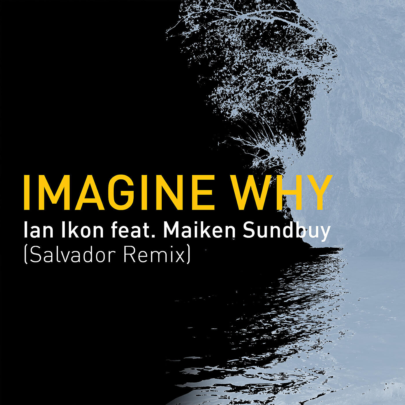 Ian Ikon - Imagine Why (Salvador Remix)