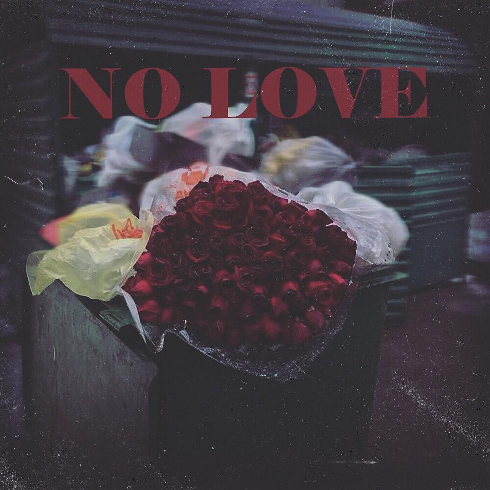 Постер альбома No Love