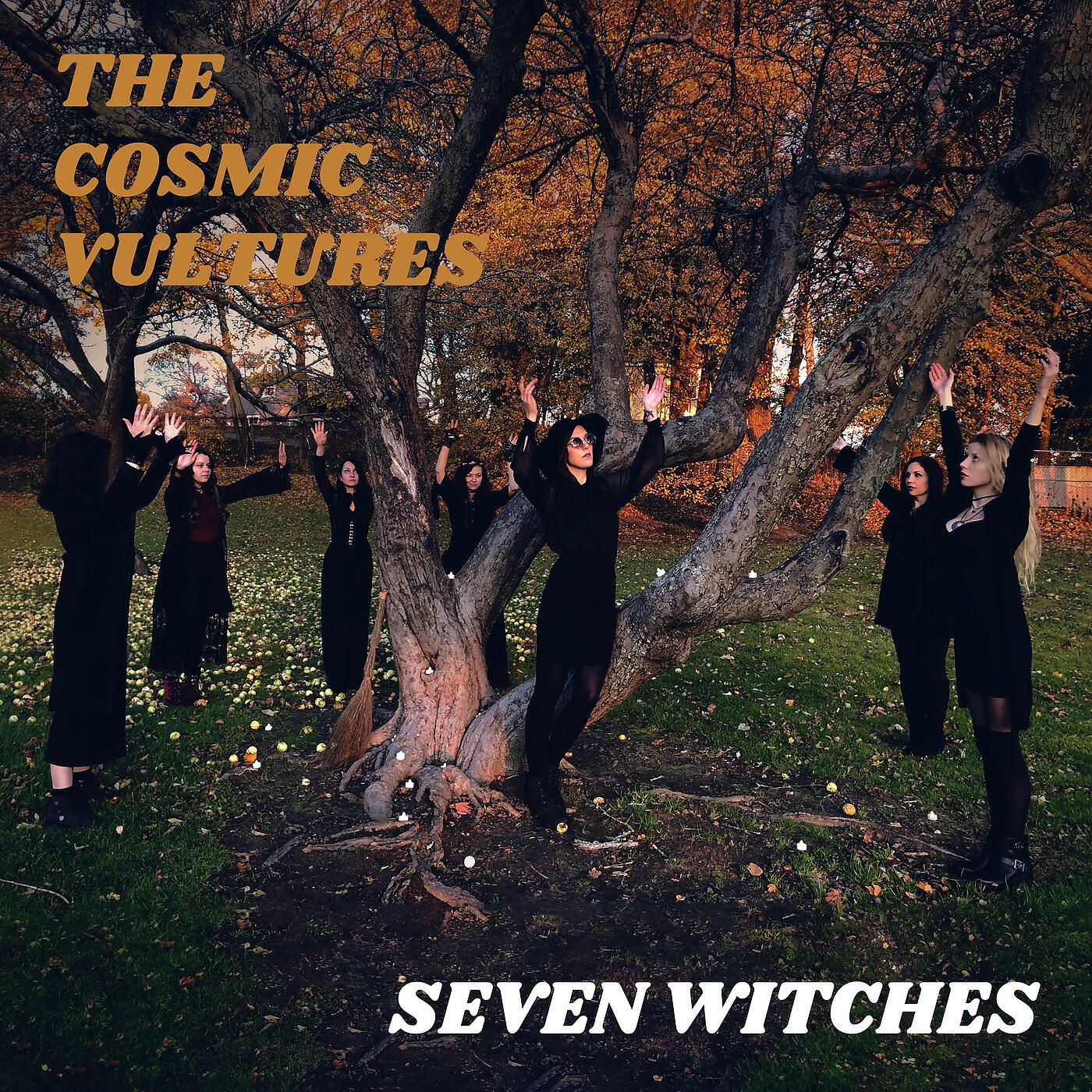 The Cosmic Vultures - Werewolf
