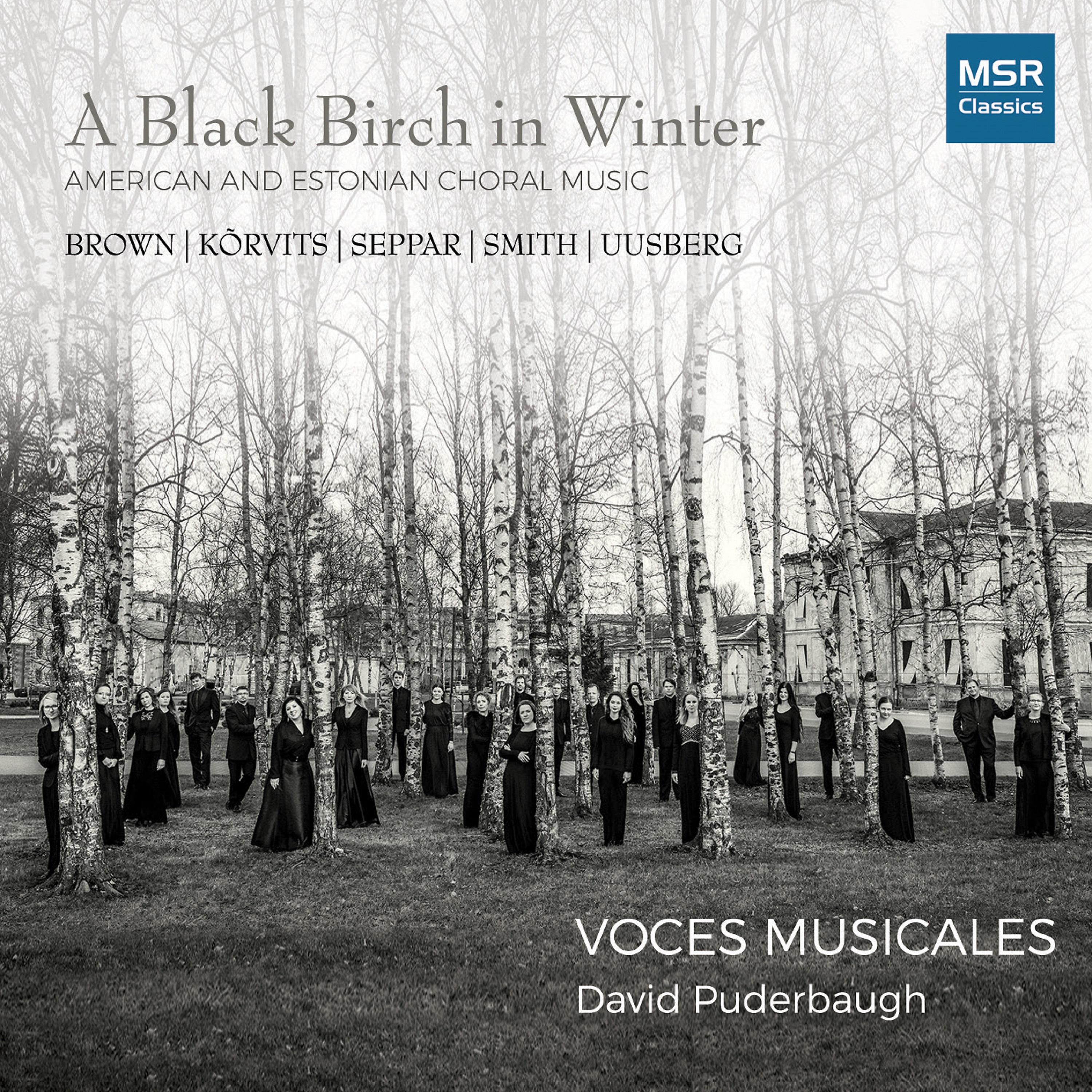 Постер альбома A Black Birch In Winter - American and Estonian Choral Music
