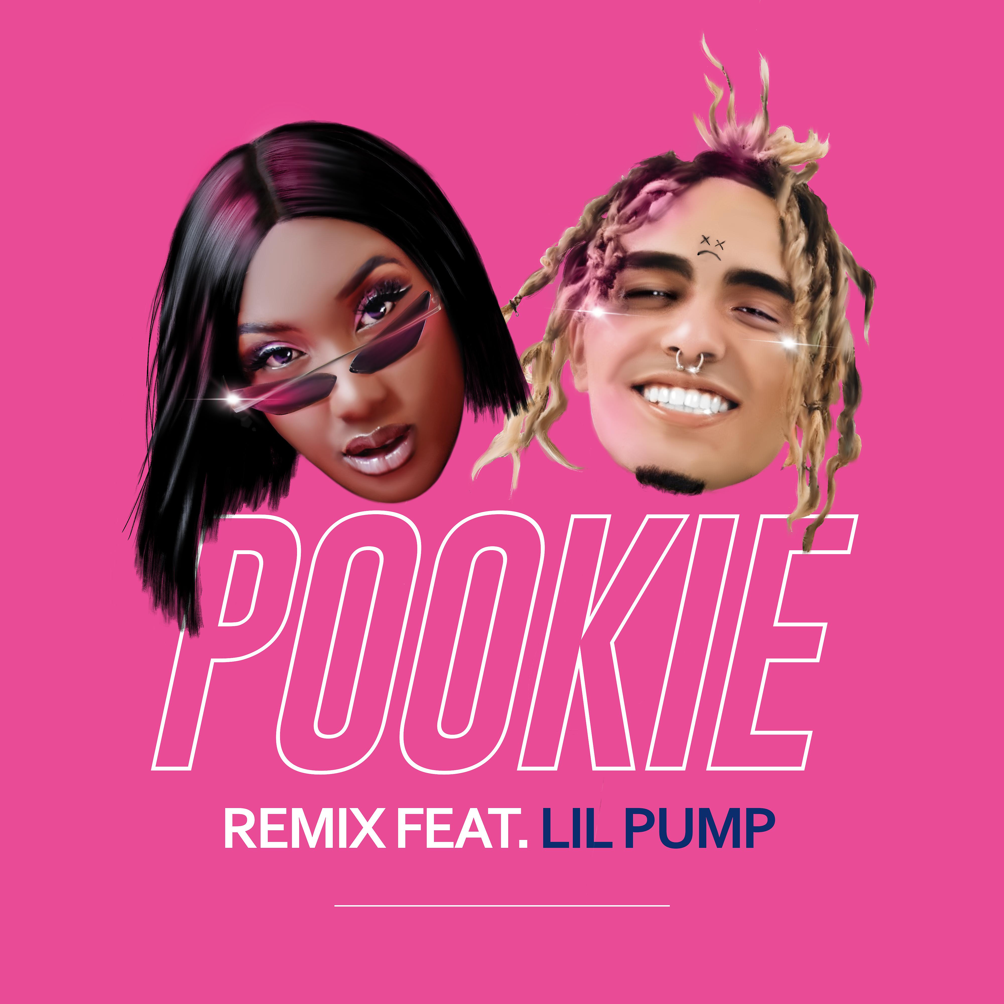 Постер альбома Pookie (feat. Lil Pump) [Remix]