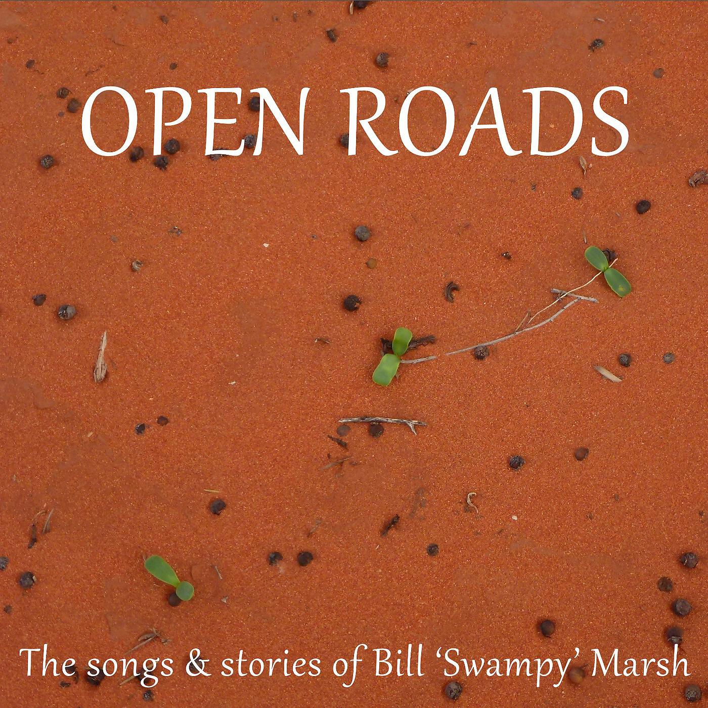 Bill 'Swampy' Marsh - The Captain's Lady - The Ballad of Mary Ann Bugg