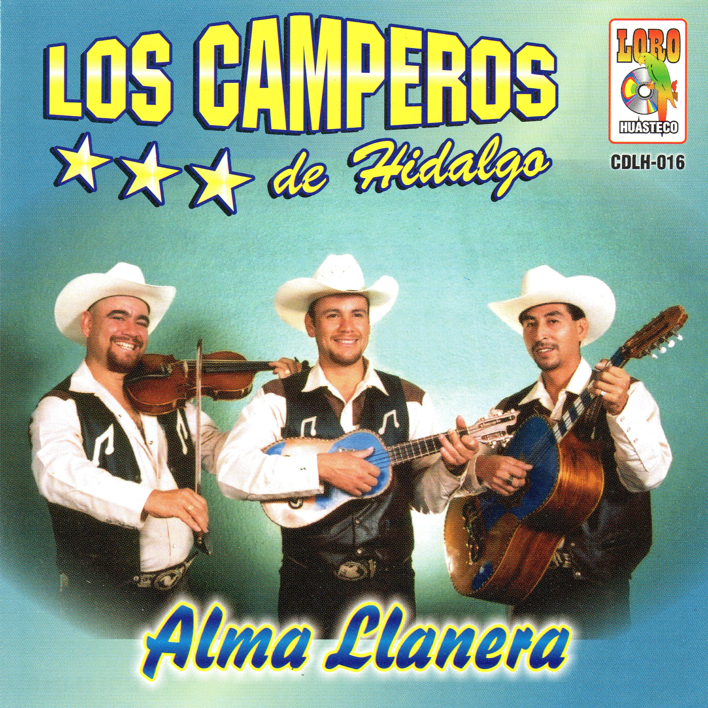 Los Camperos De Hidalgo - Pedacito de Vida