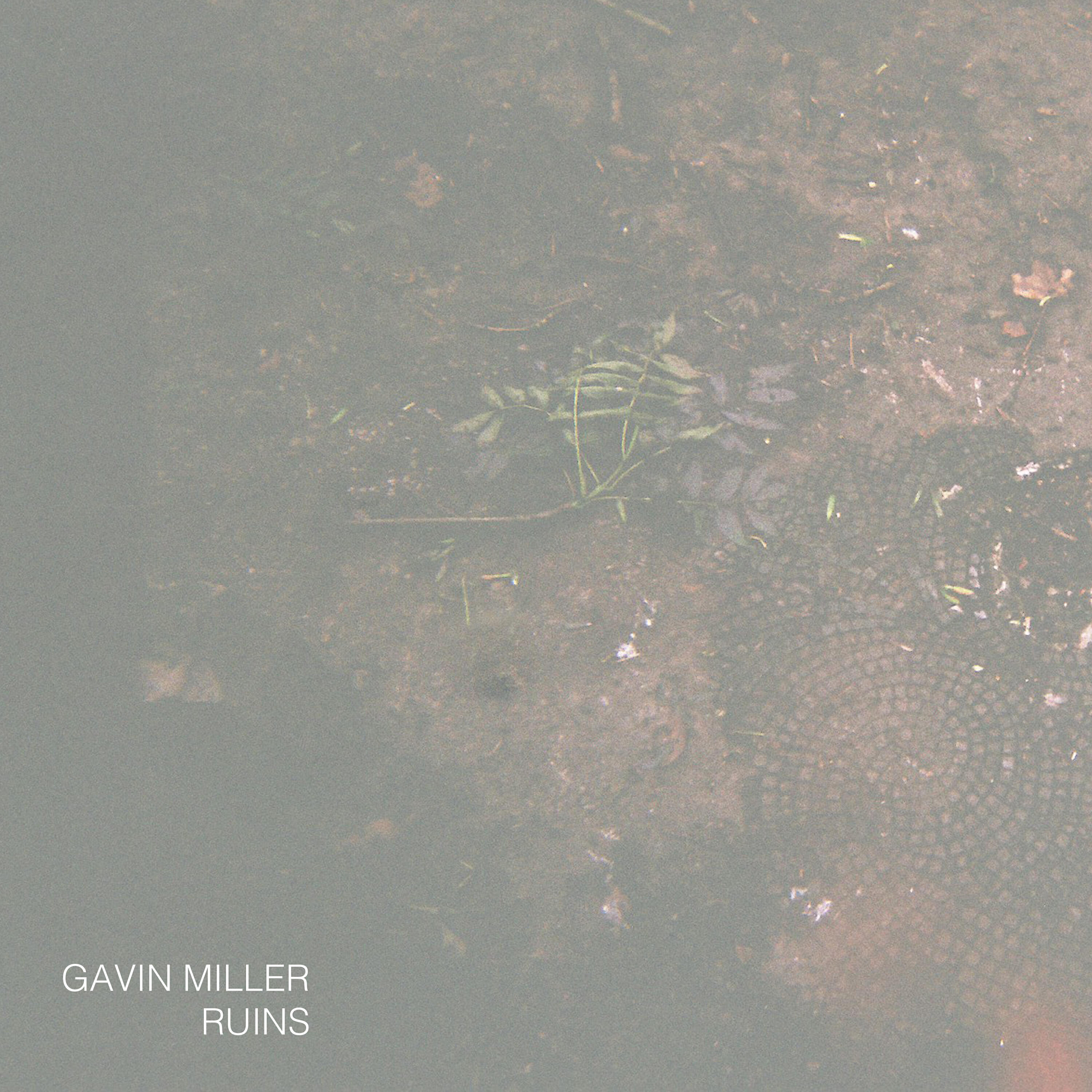 Gavin Miller - We Stood Like Statues