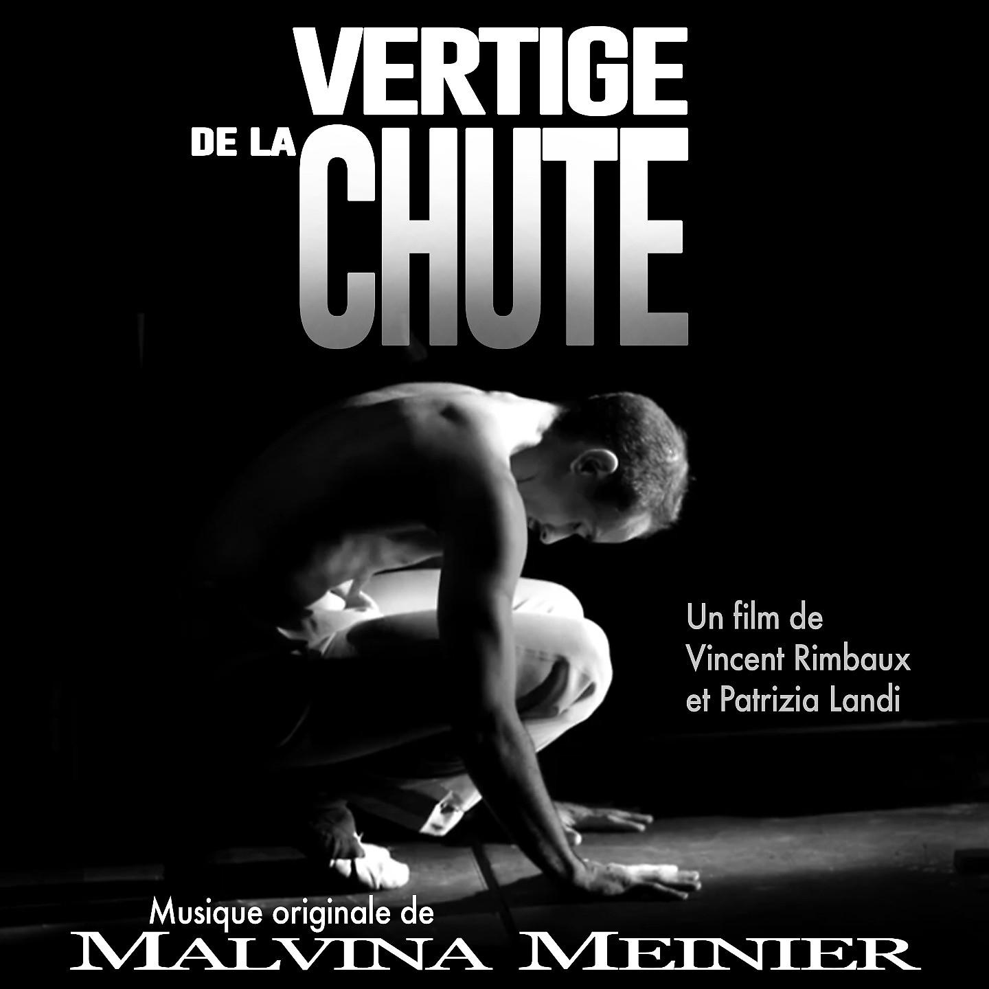 Постер альбома Vertige de la chute