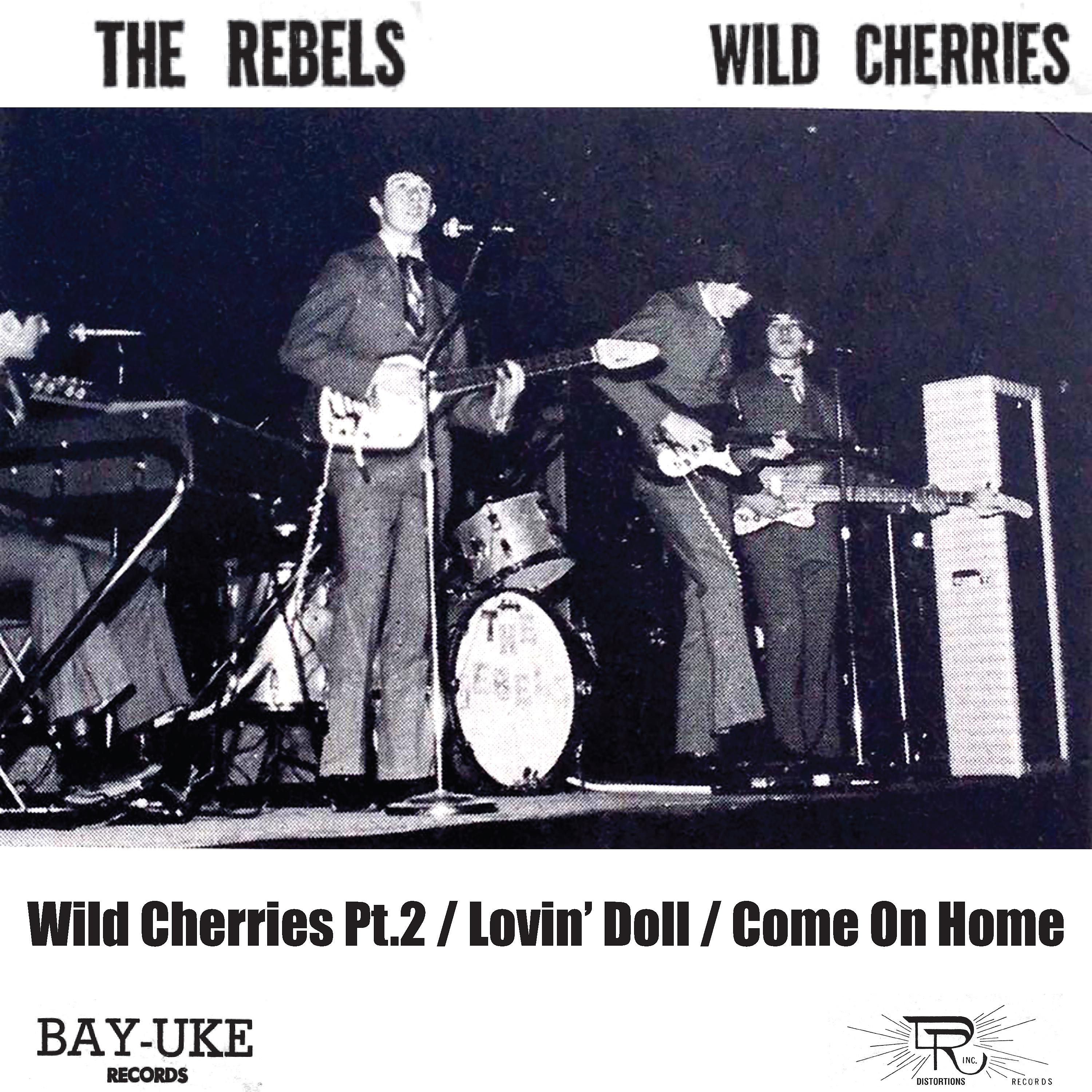 Постер альбома The Rebels