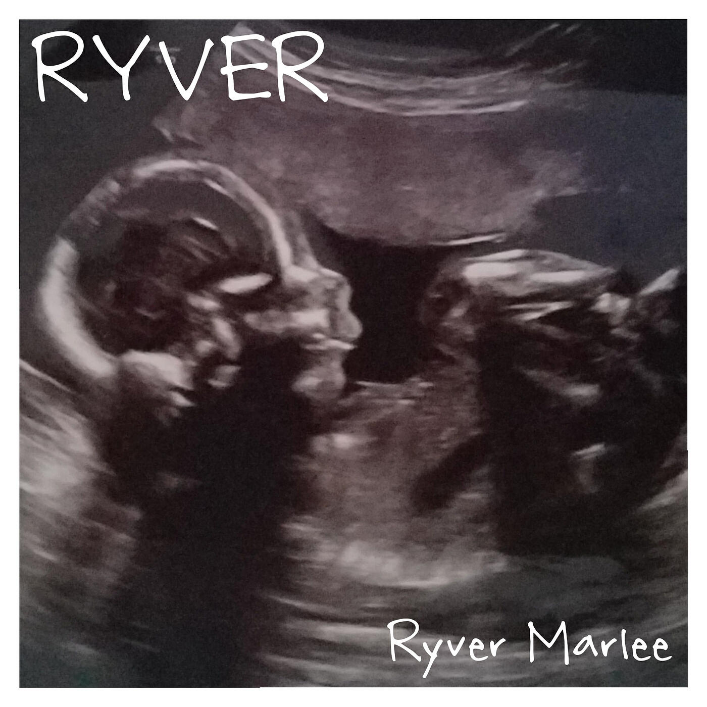 Ryver Marlee - Its Genetics