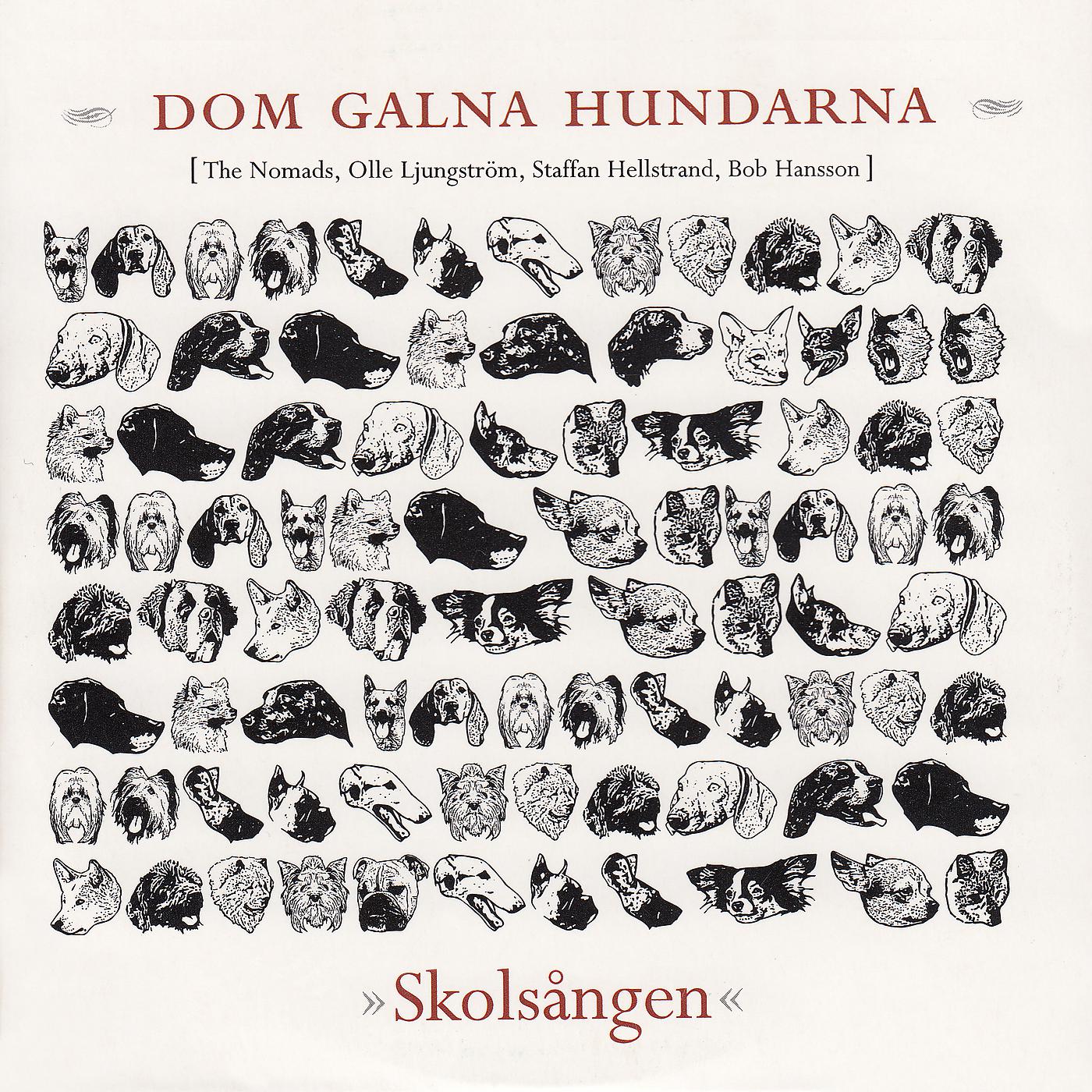 Постер альбома Skolsången