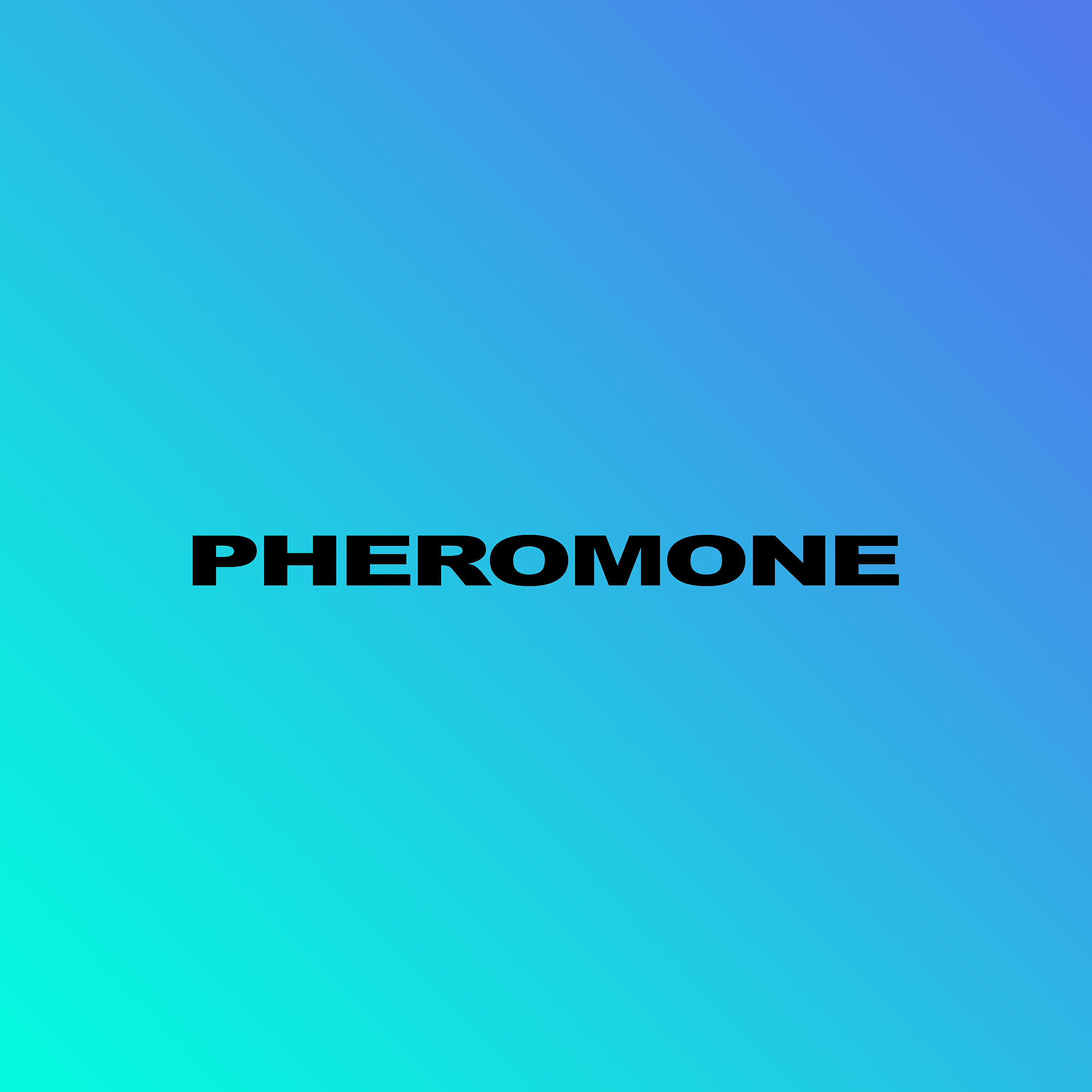 Индаблэк - Pheromone