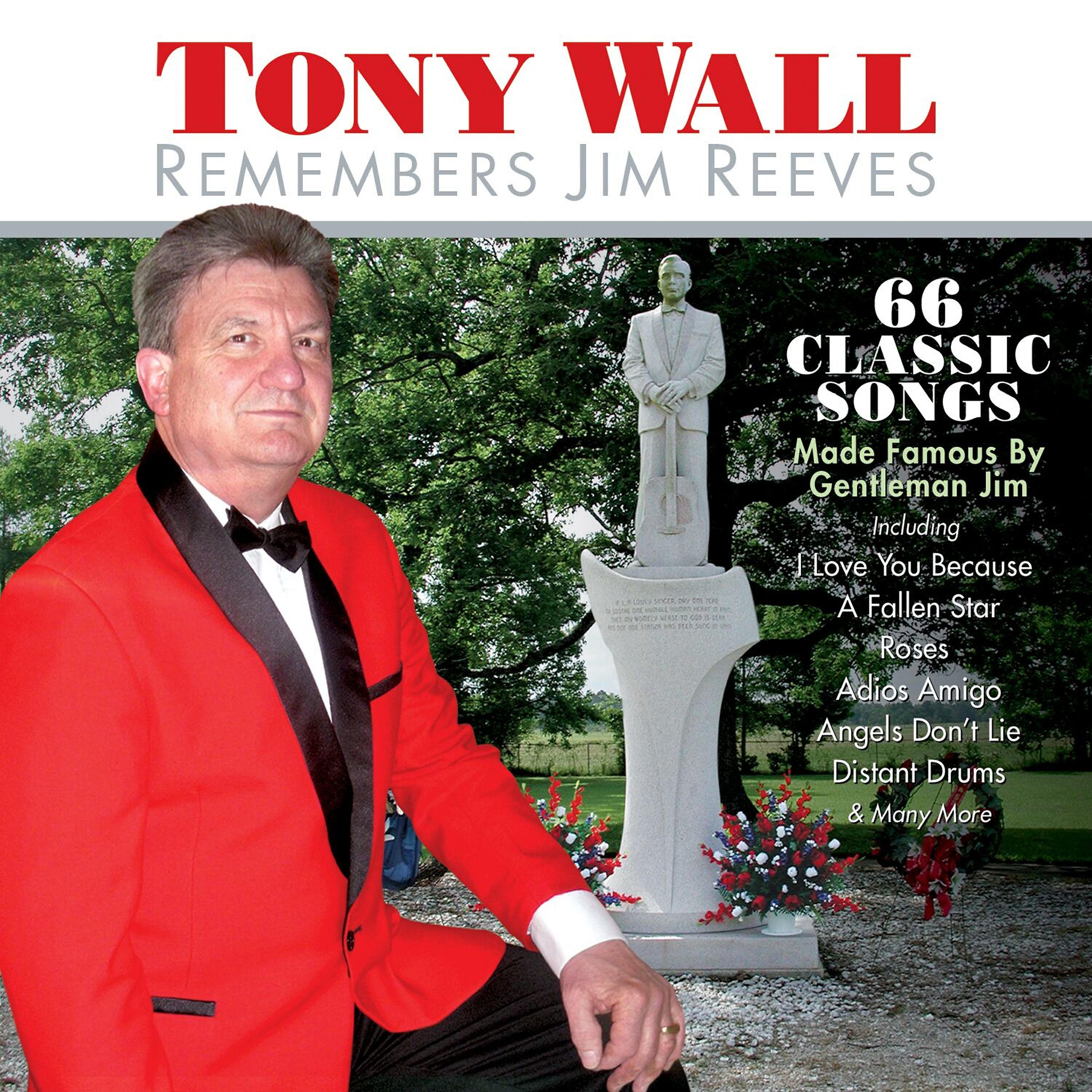 Tony Wall - That's When I See the Blue (In Your Pretty Brown Eyes)