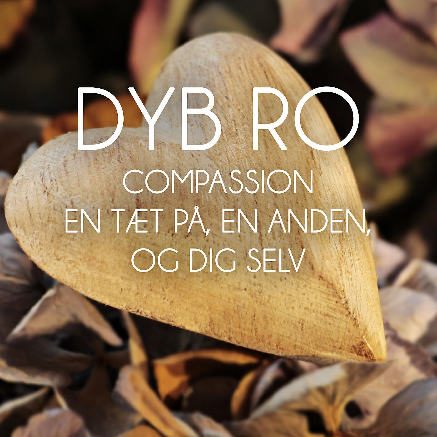 Dyb Ro - Compassion 2 start - del 1 (Meditation)