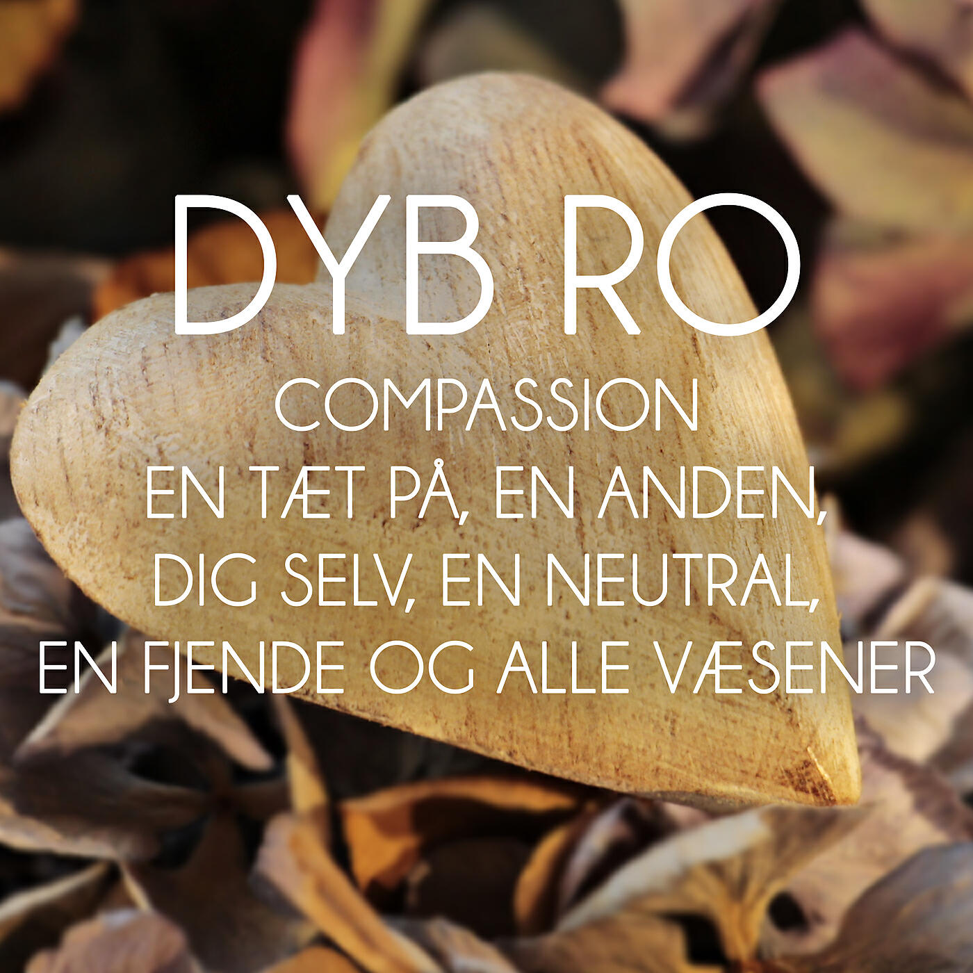 Dyb Ro - Compassion 4 fjende - del 6 (Meditation)
