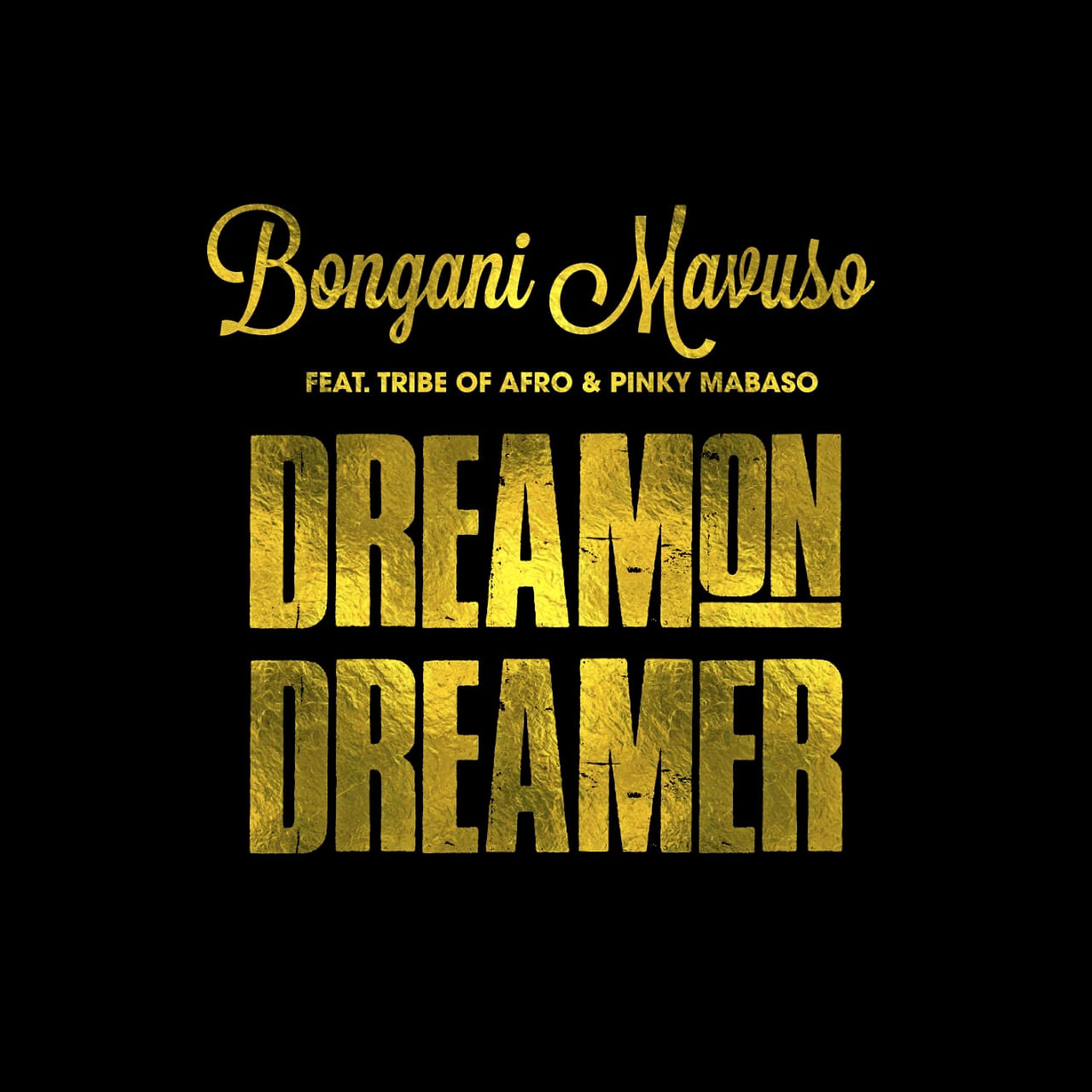 Постер альбома Dream on Dreamer