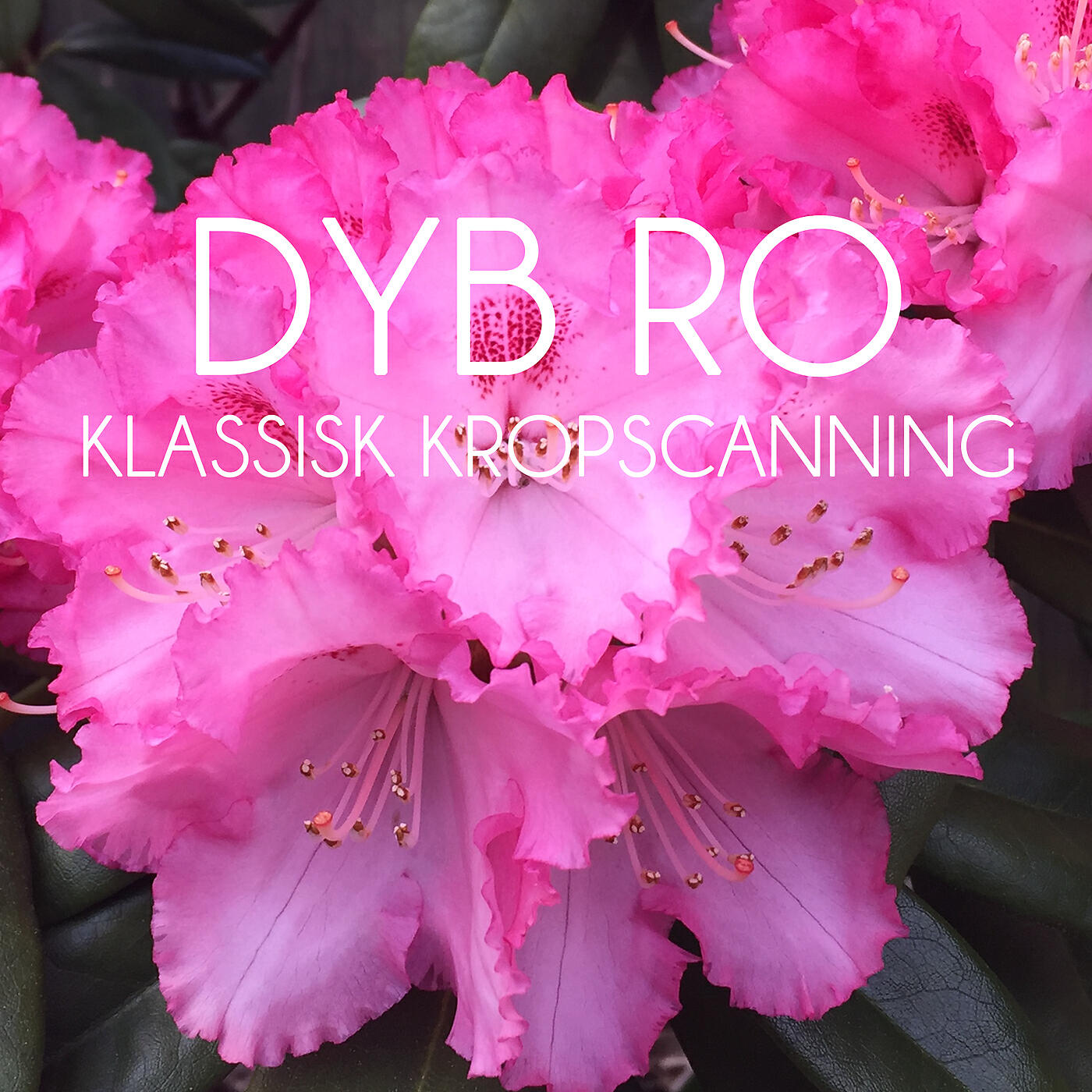 Dyb Ro - Klassisk Kropscanning - del 3 (Meditation)