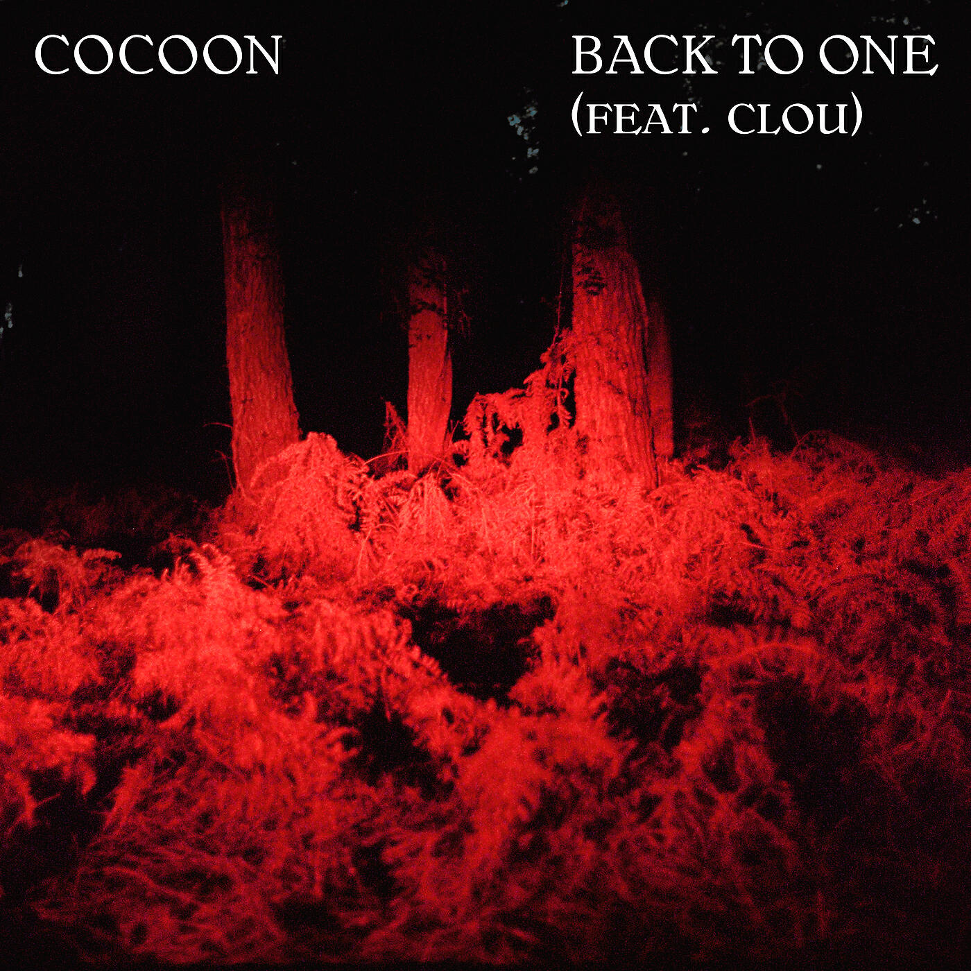Cocoon - Back To One (feat. Clou)