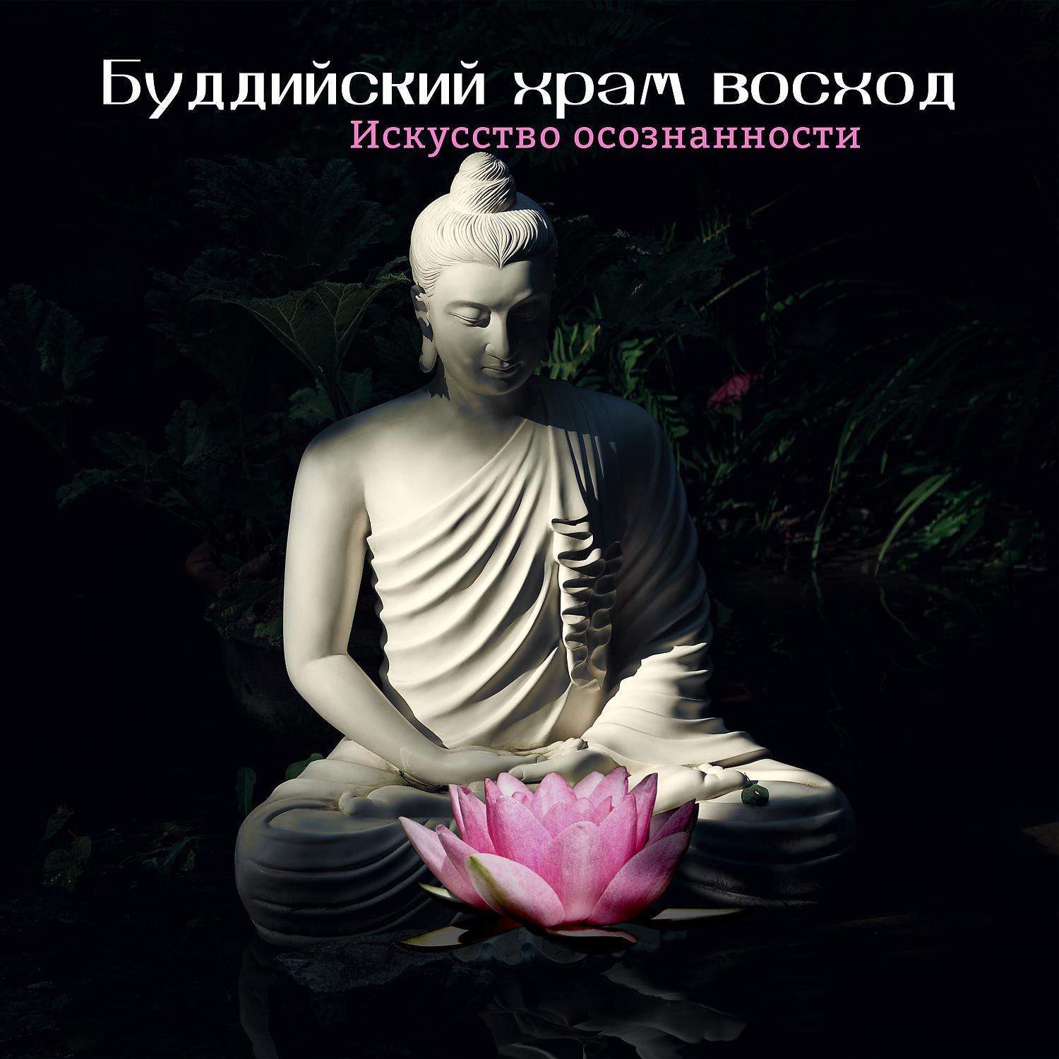 Постер альбома Буддийский храм восход: Искусство осознанности - Живя настоящим, Мгновенная гармония, Любовь & Счастье