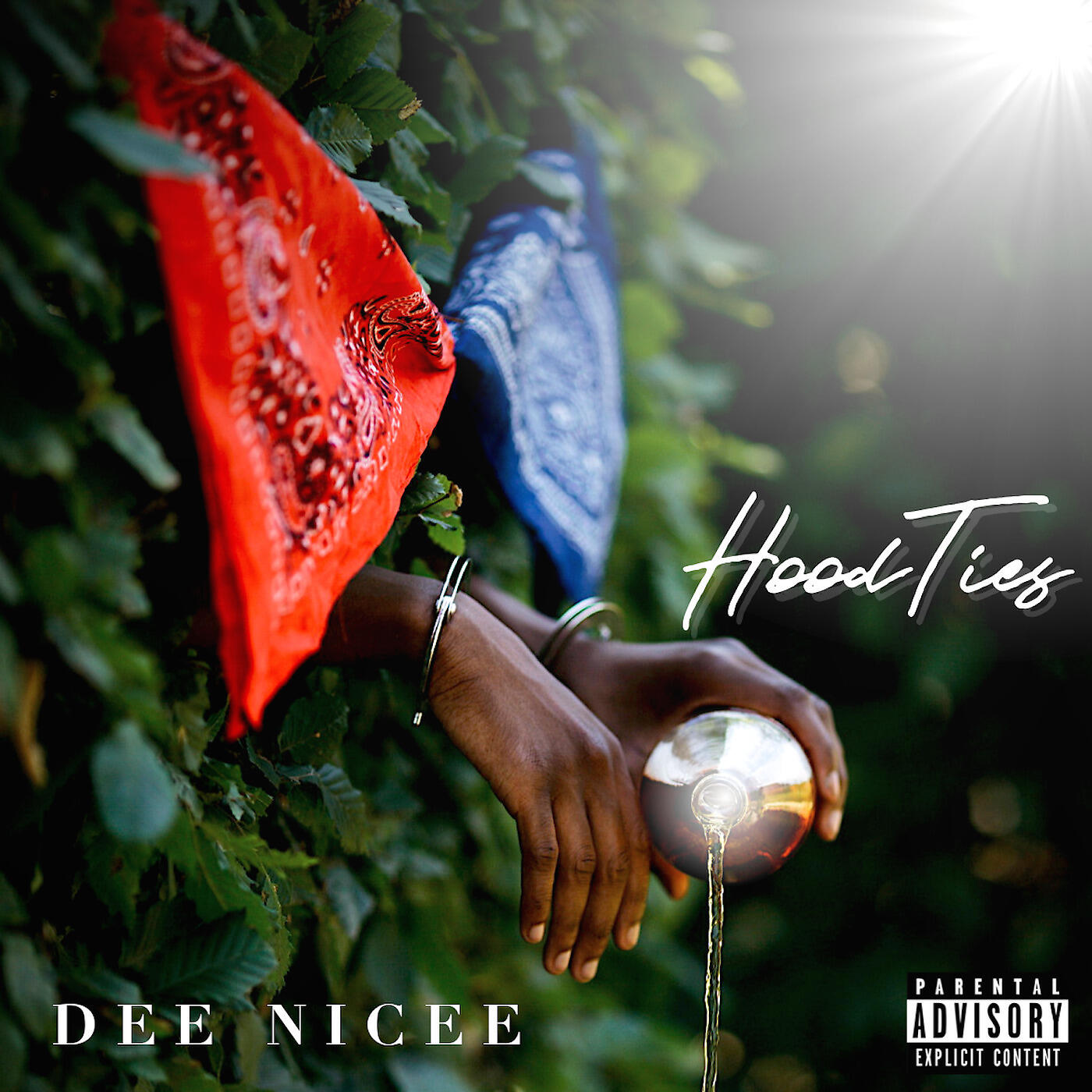 DEE NICEE - Hoodties