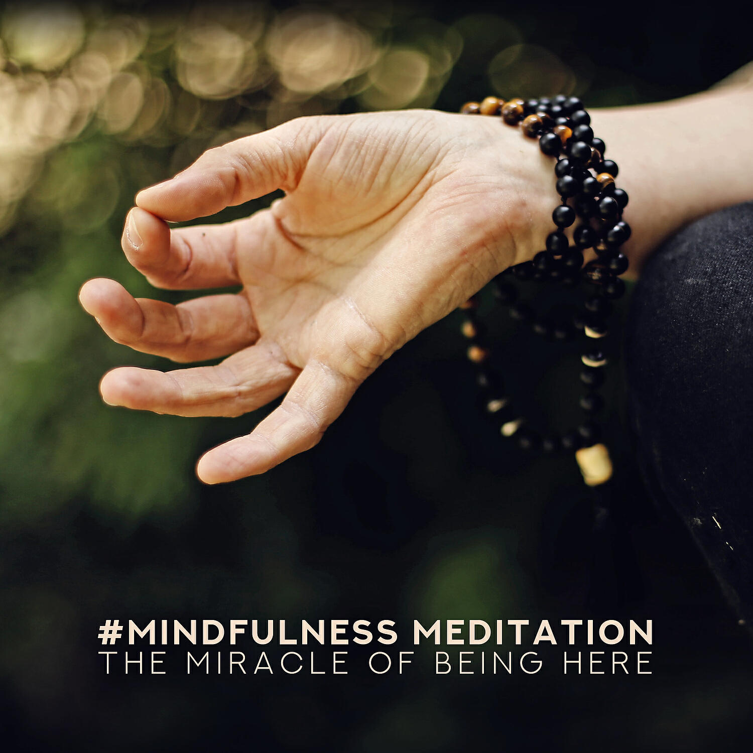 Zen Meditation Music Academy - Mindful Meditation Journey