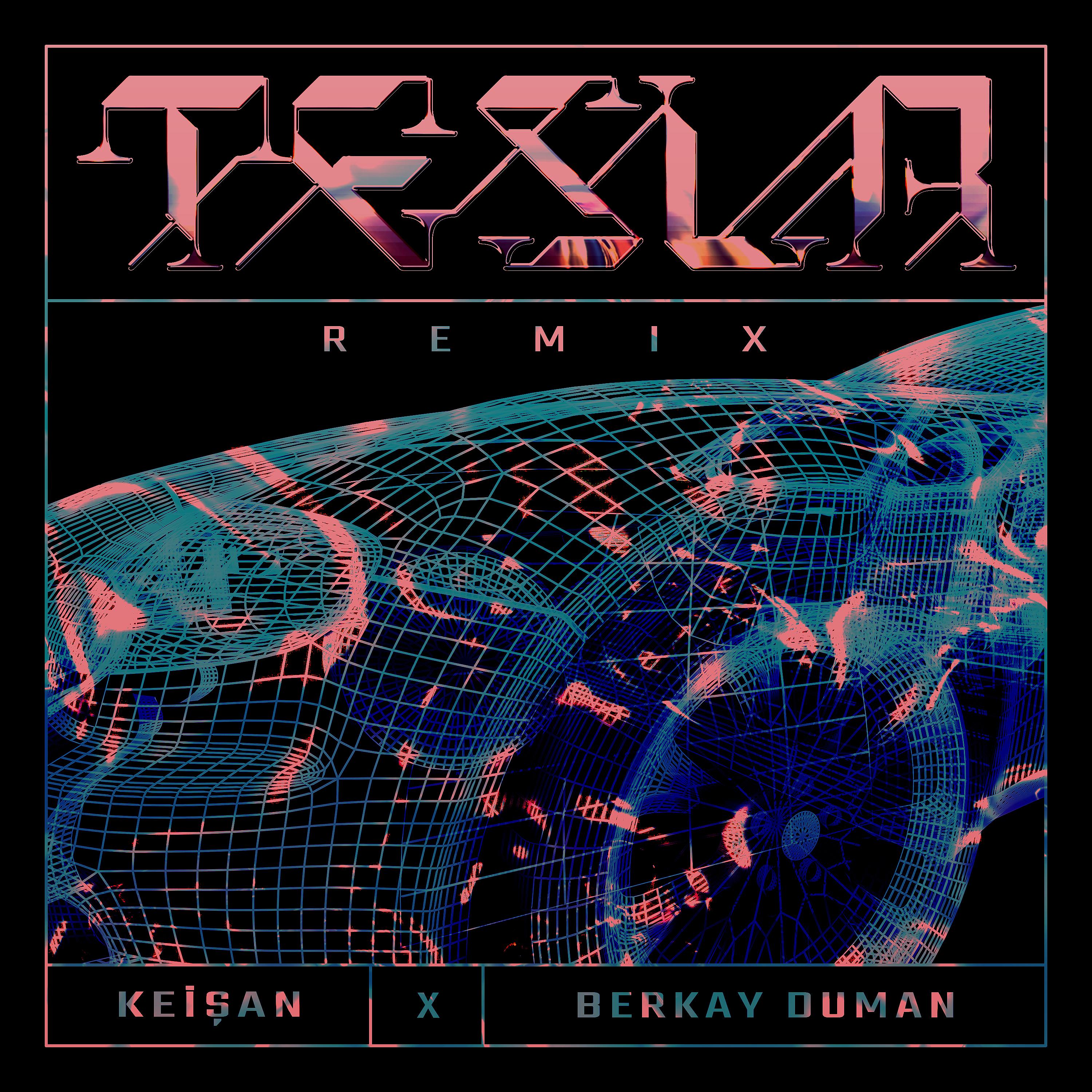 Постер альбома T E S L A (Remix)