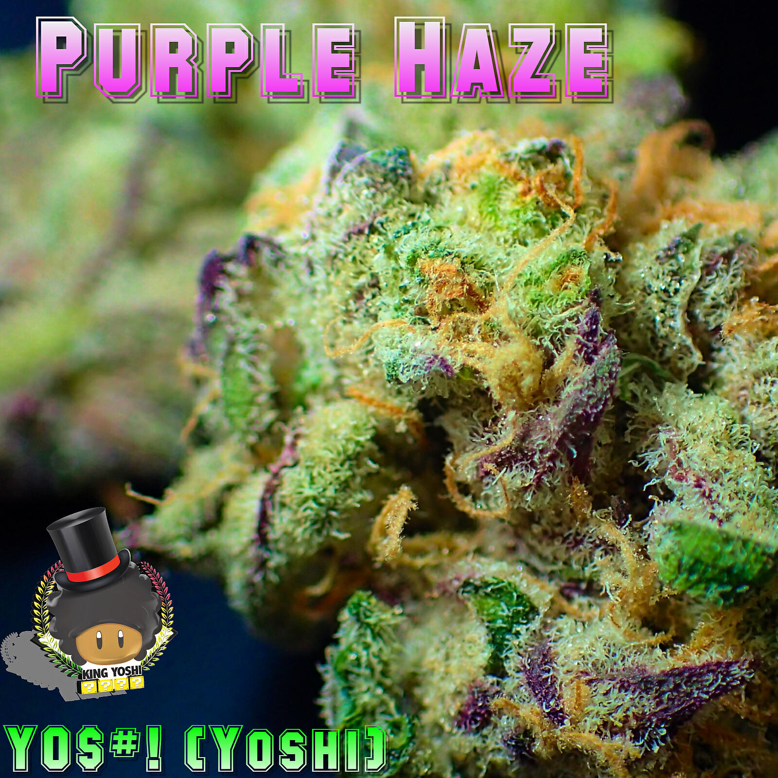 Y0$#! (Yoshi) - Purple Haze