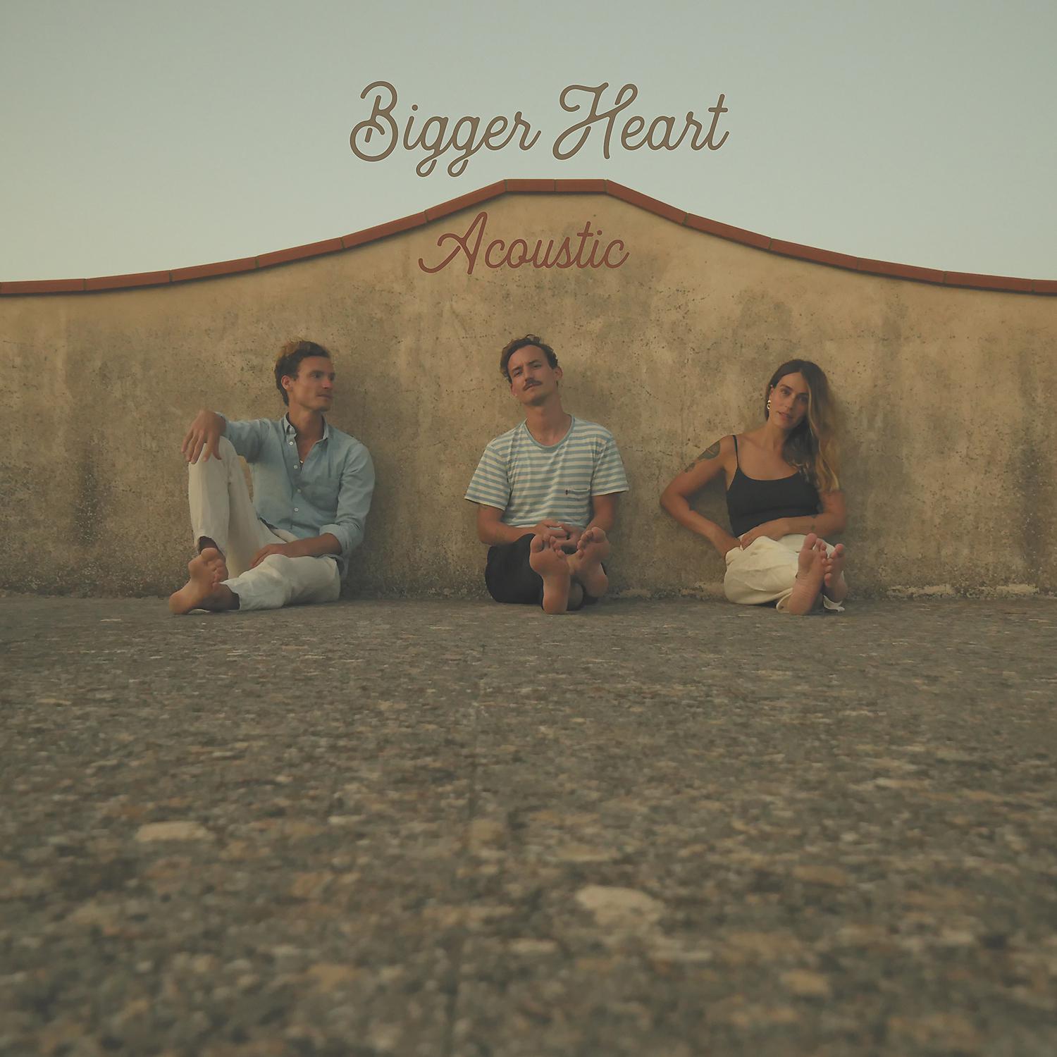 Постер альбома Bigger Heart (Acoustic)