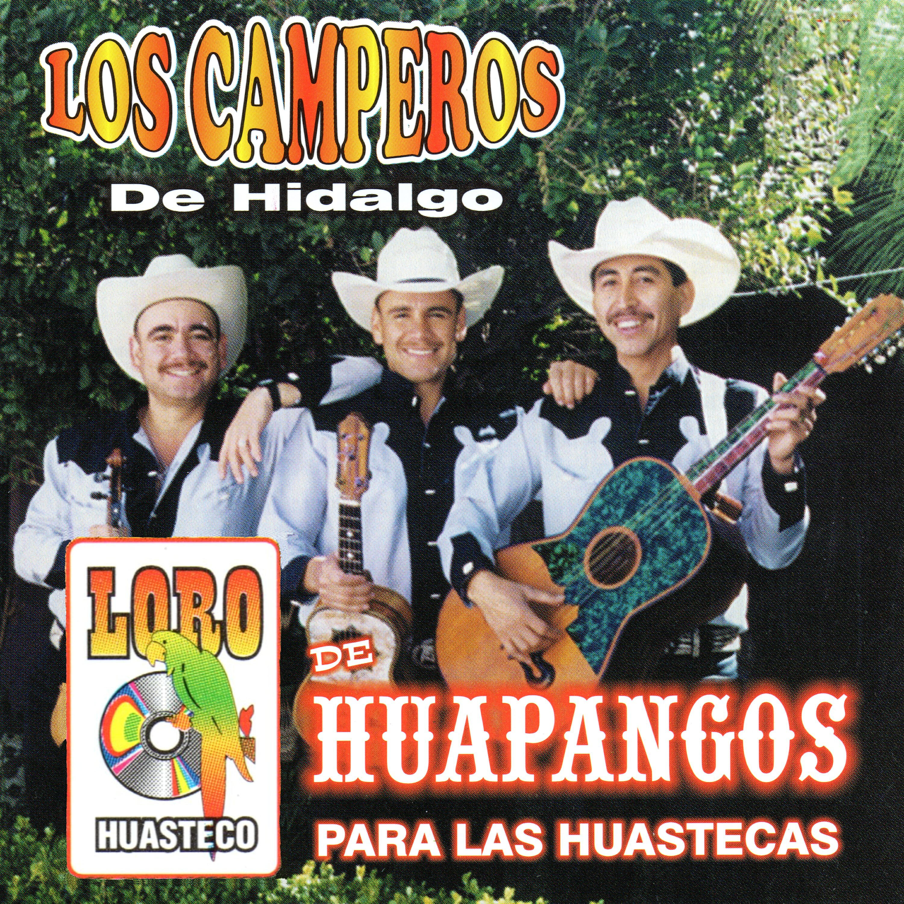 Los Camperos De Hidalgo - El Apasionado