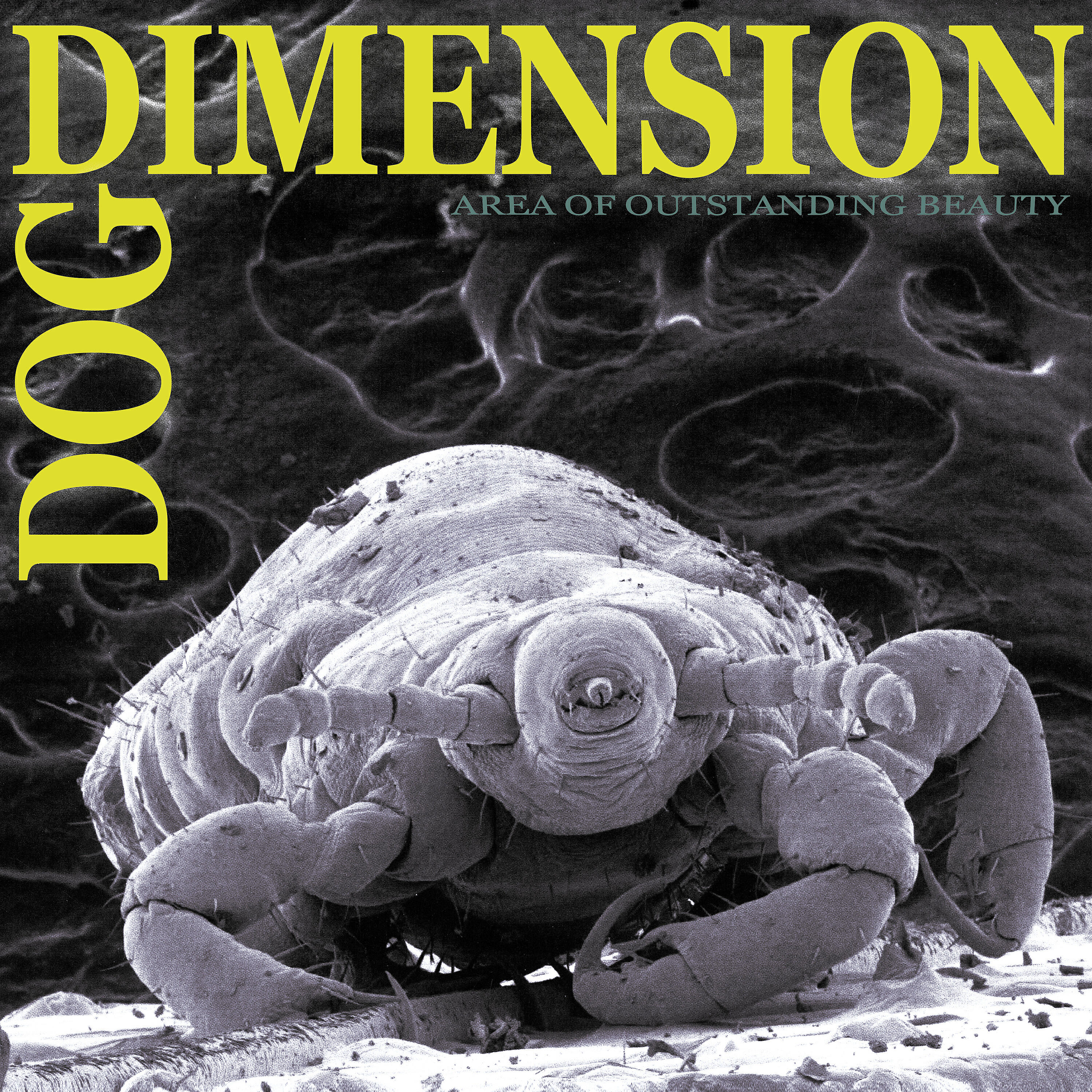 Dog Dimension - Frank's Fungus Exchange
