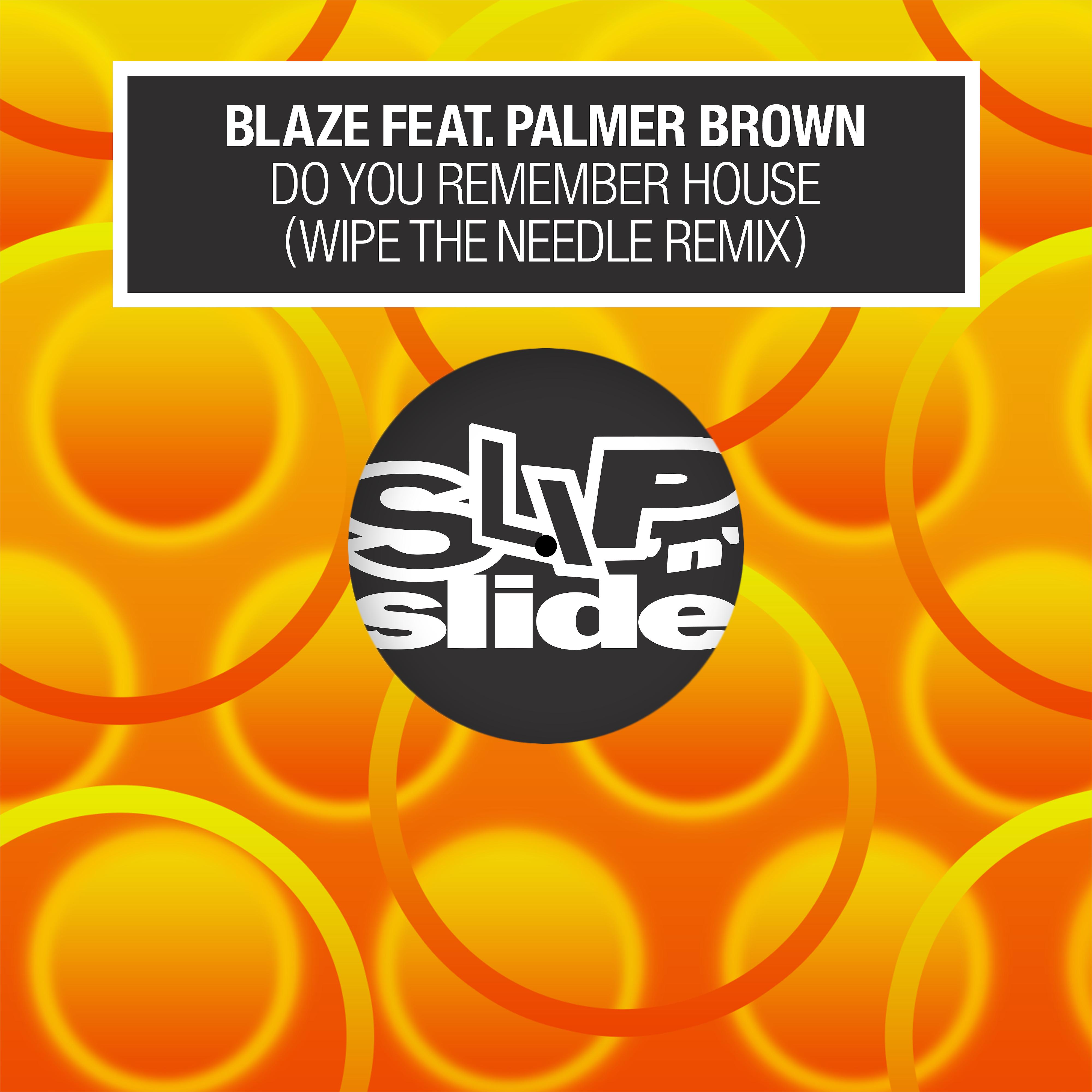Постер альбома Do You Remember House? (feat. Palmer Brown) [Wipe the Needle Remixes]