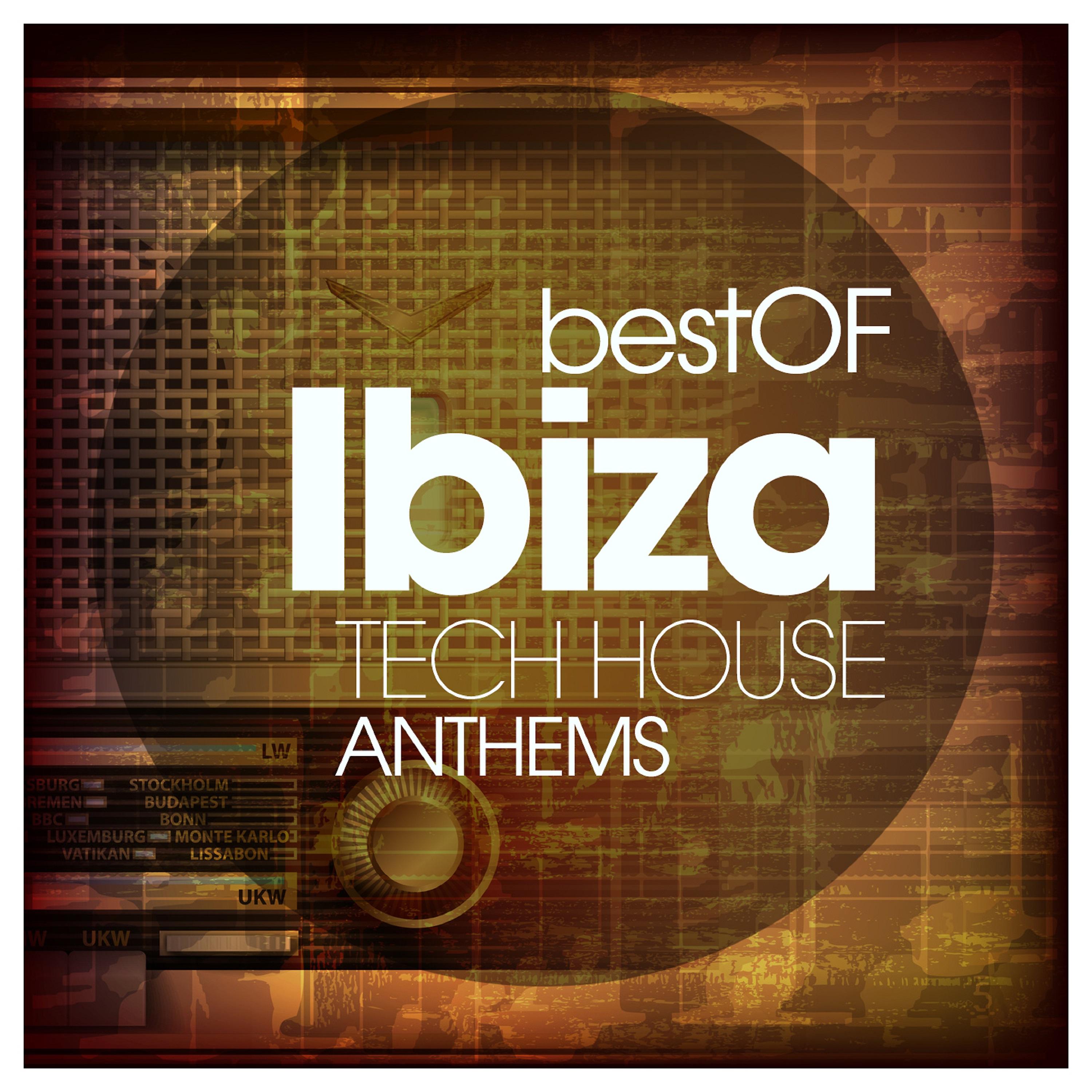Постер альбома Best of Ibiza Tech House Anthems